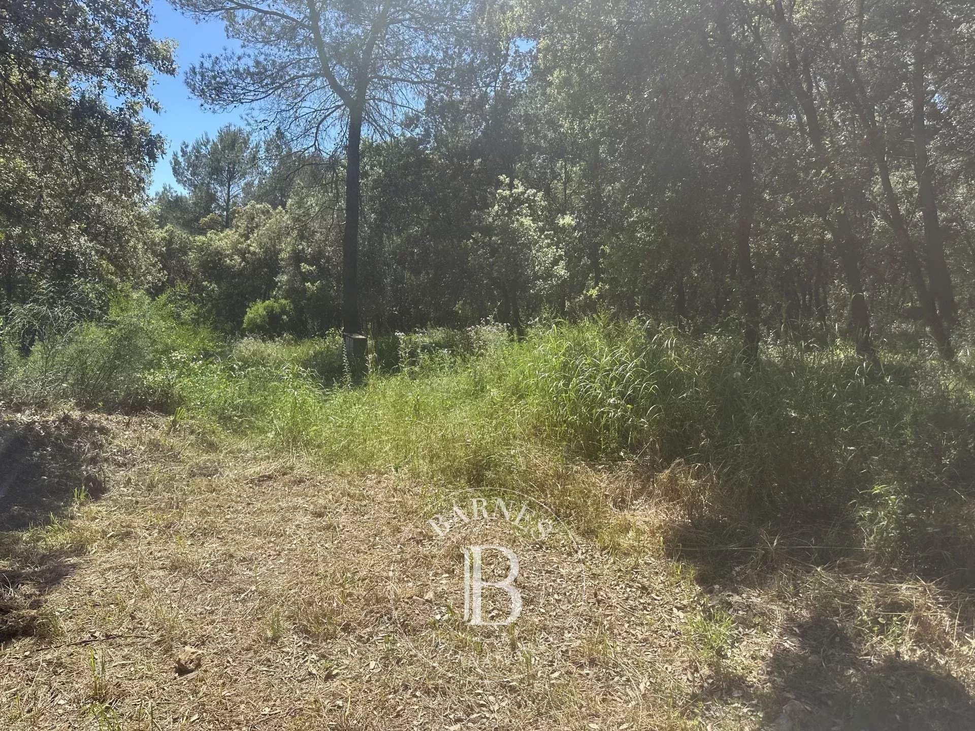 Biot  - Building land  - picture 7