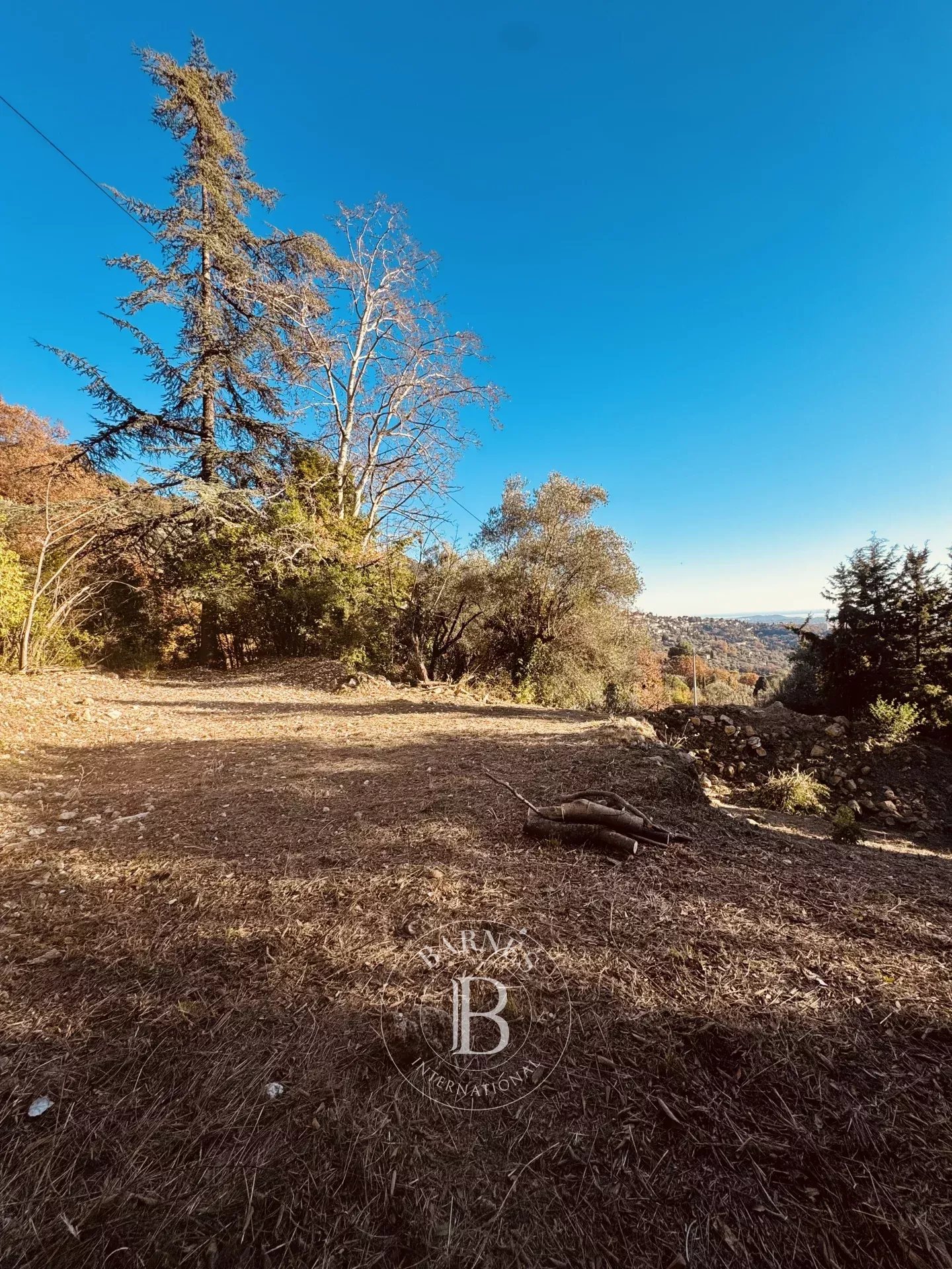 Grasse  - Terrain  - picture 6