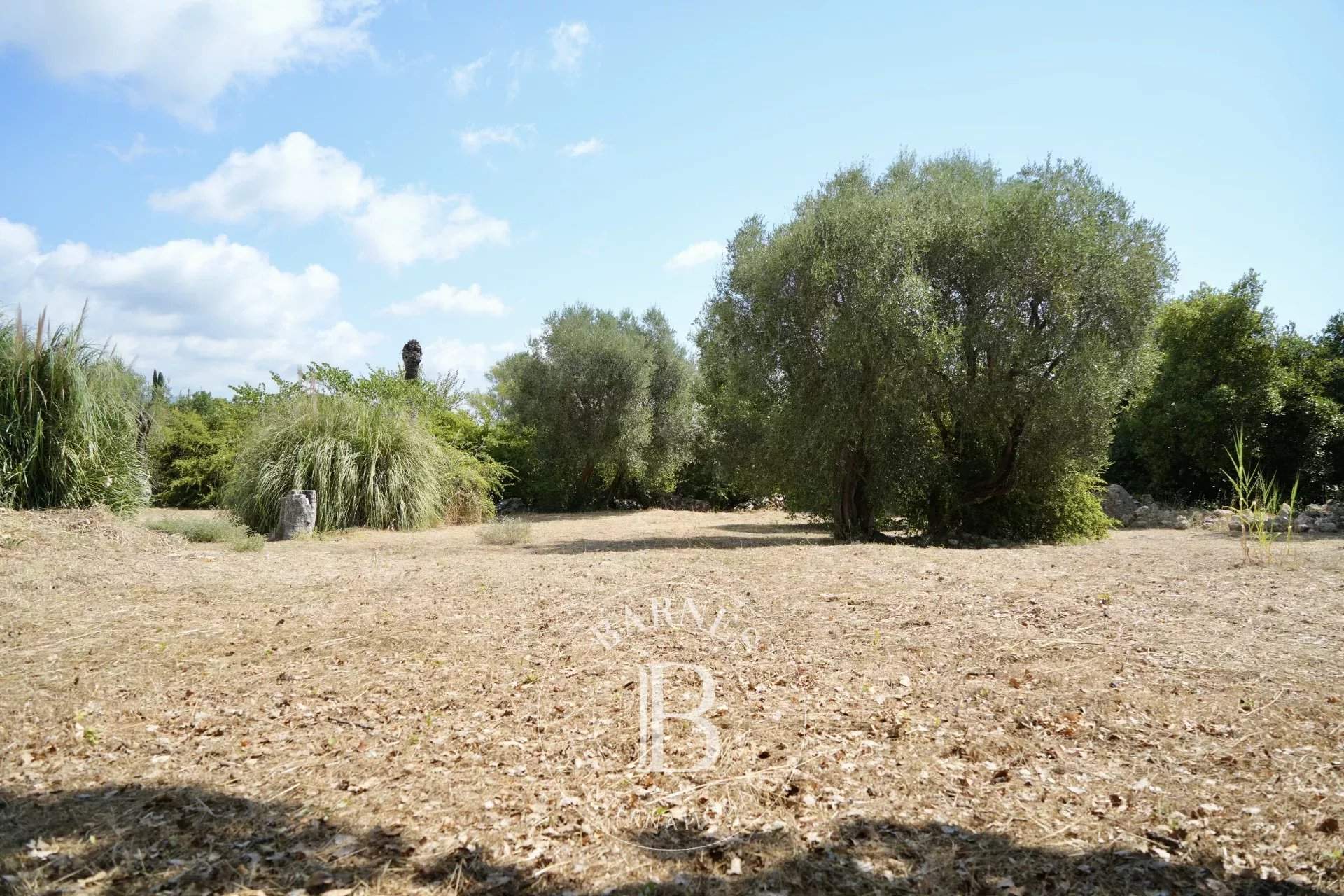 Roquefort-les-Pins  - Building land  - picture 13