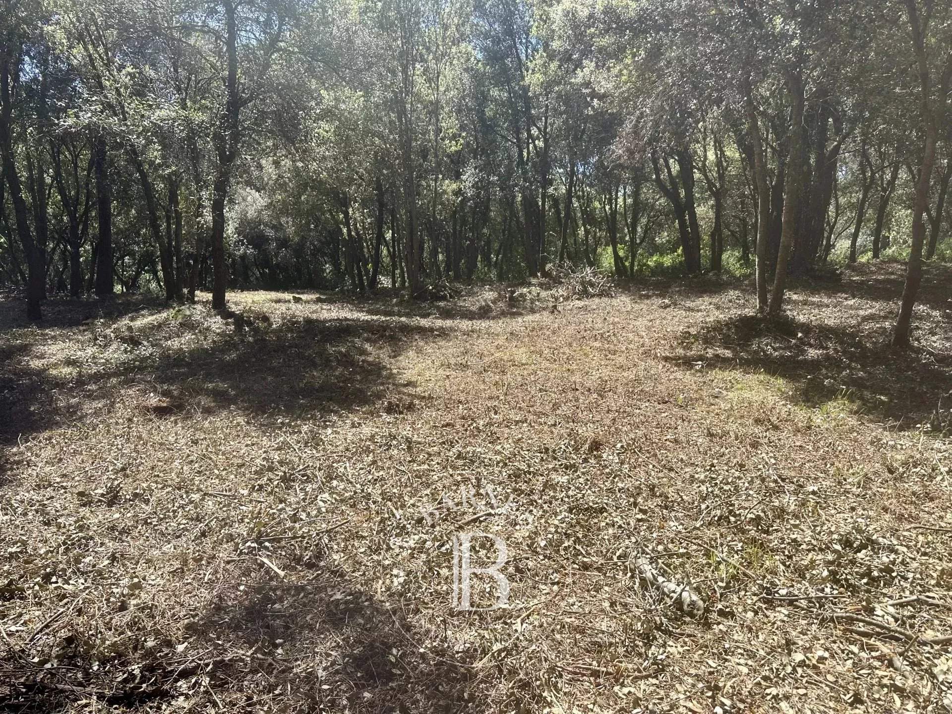 Biot  - Building land  - picture 10