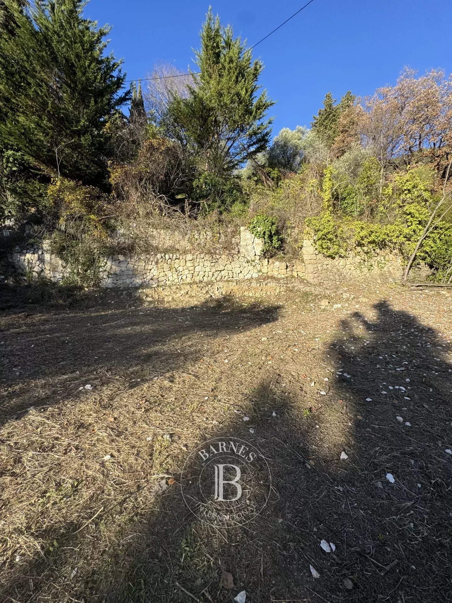 Grasse  - Terrain  - picture 7