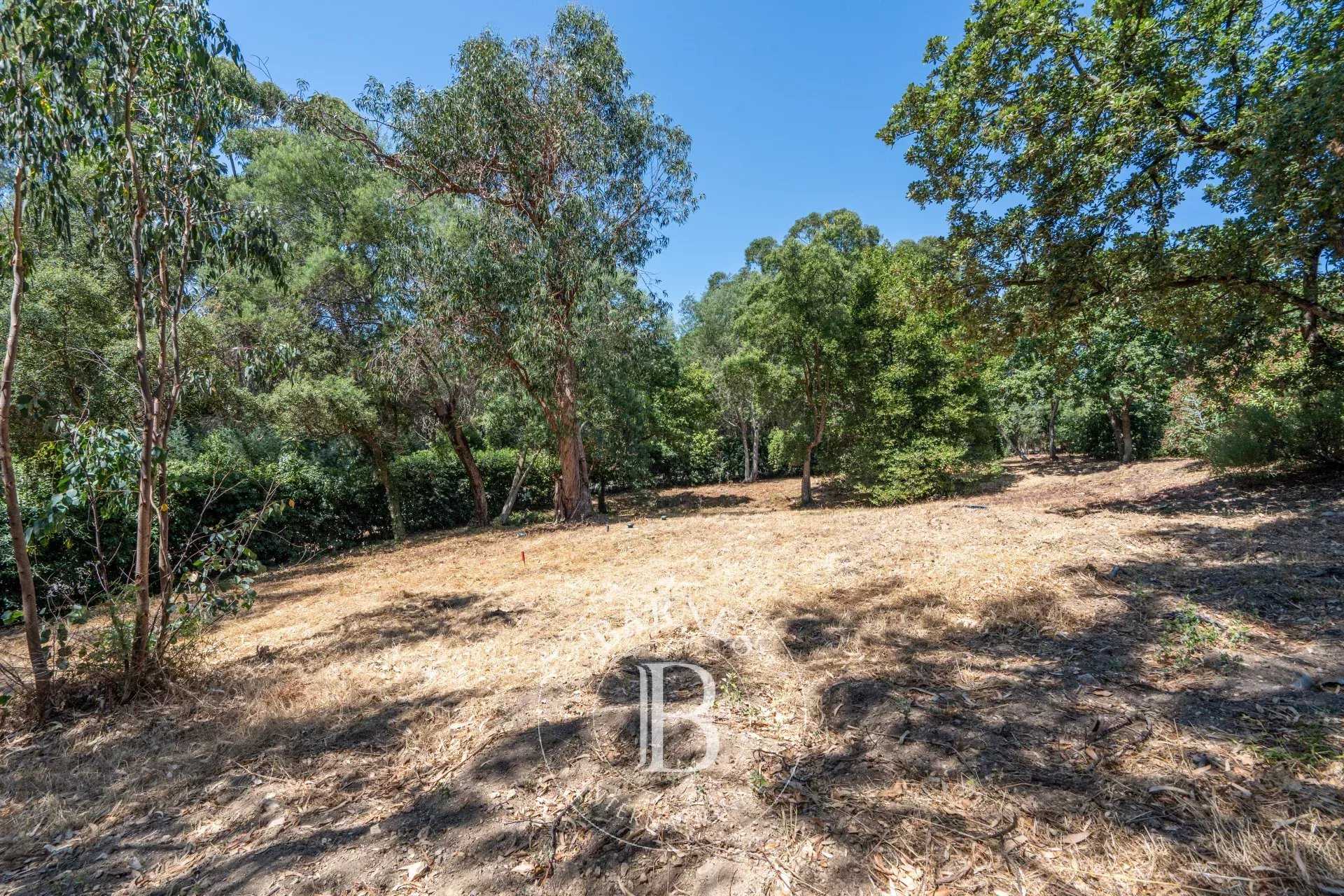 Grimaud  - Terrain constructible 