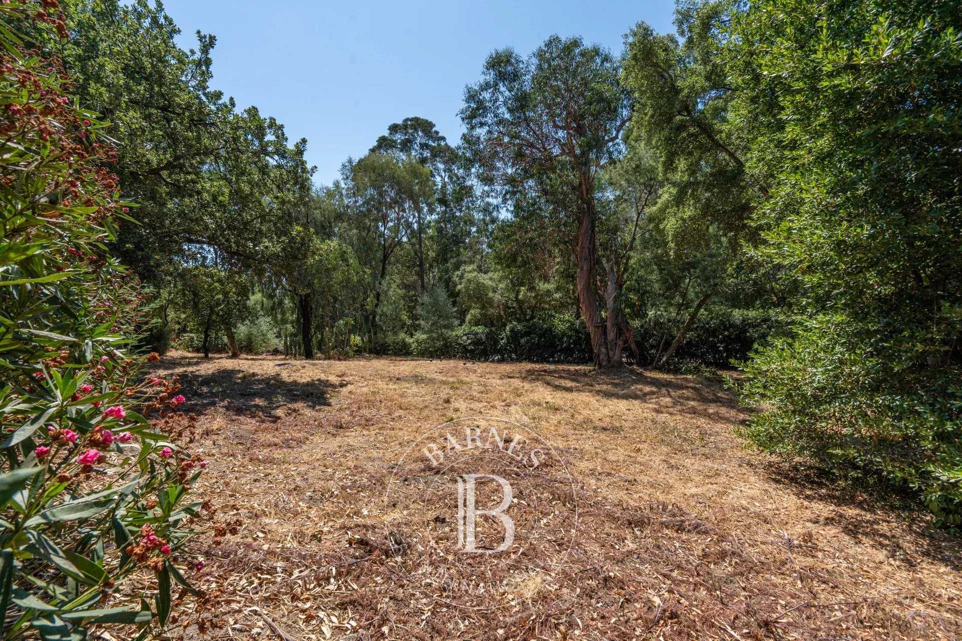 Grimaud  - Terrain constructible 