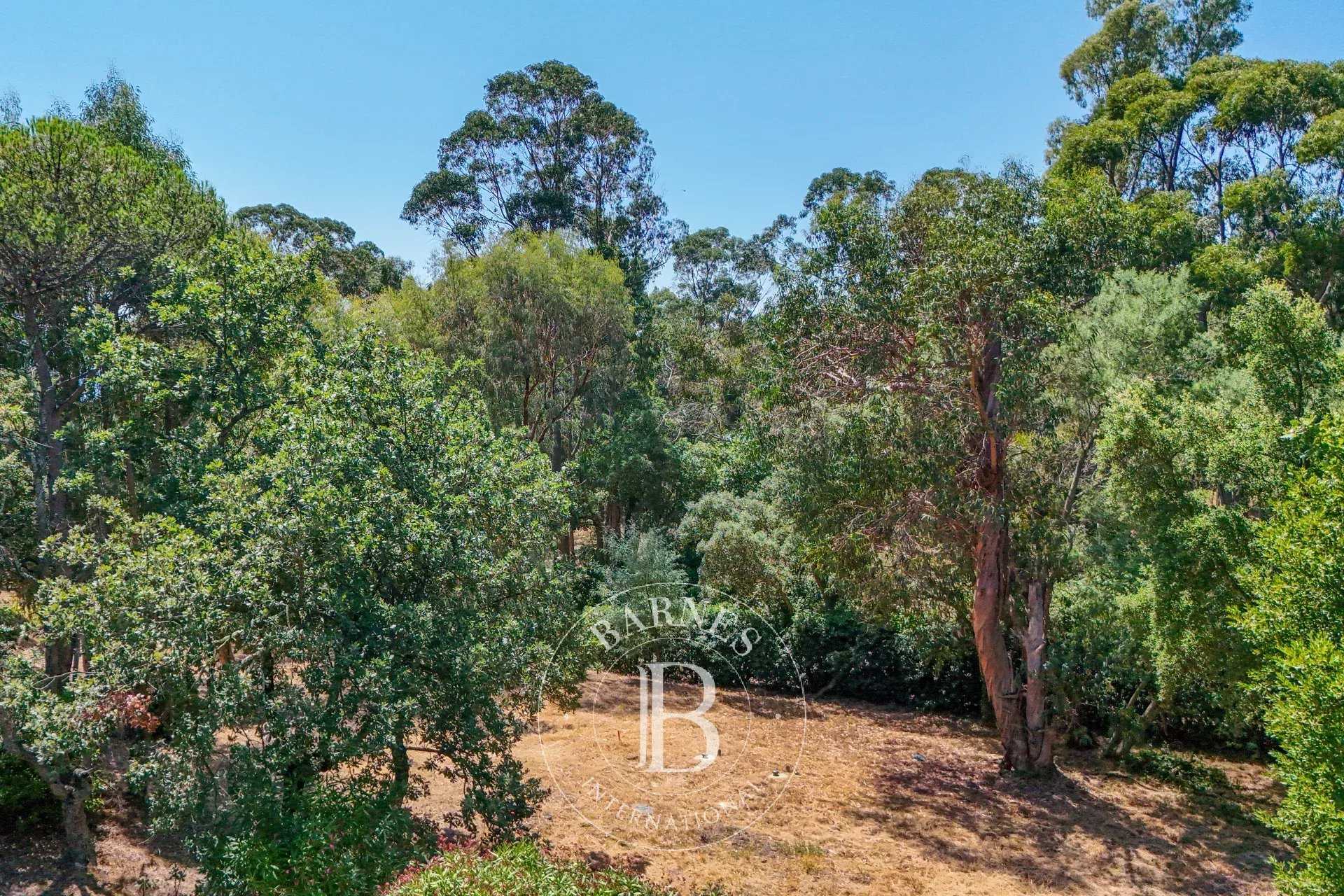Grimaud  - Terrain constructible 