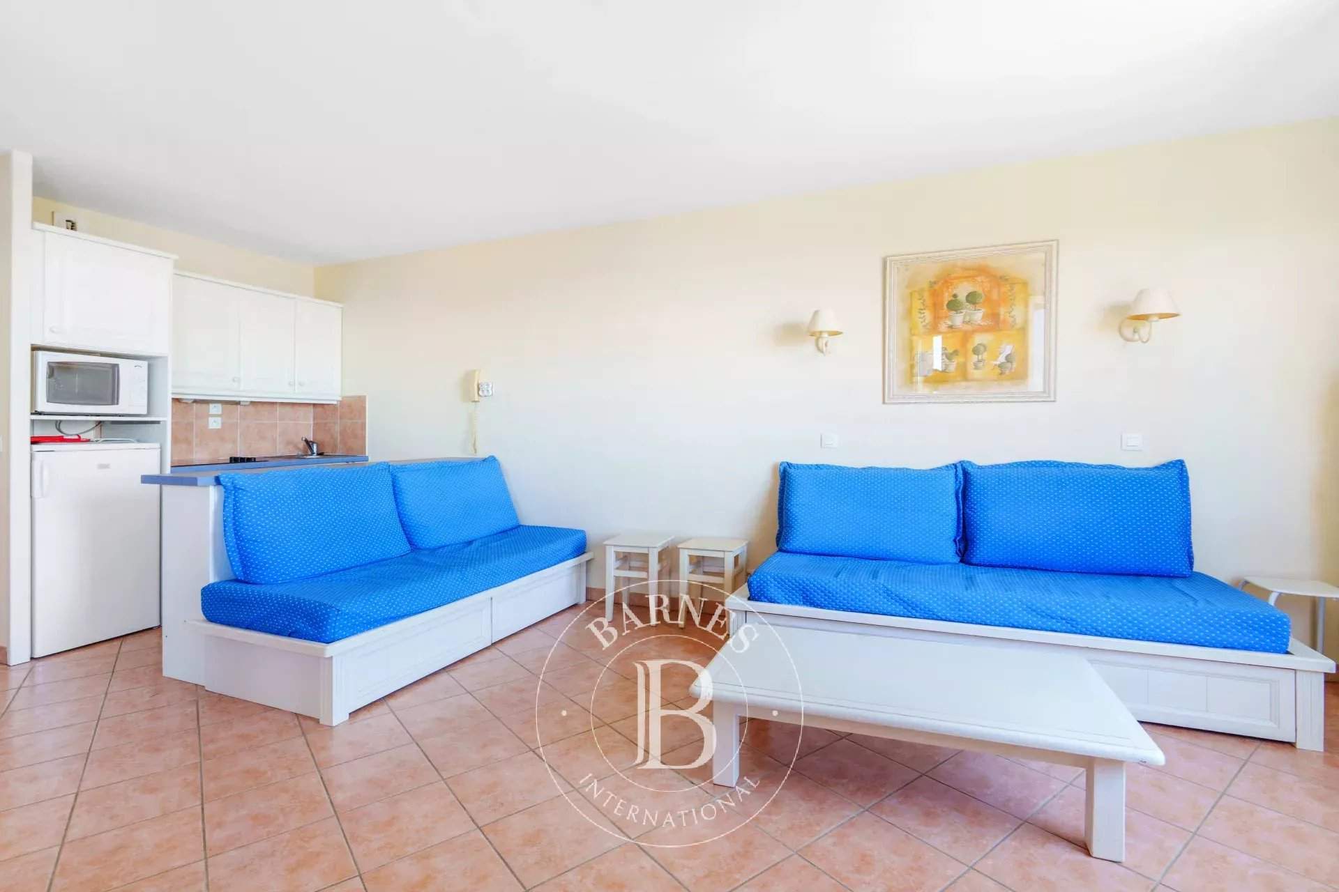 Les Issambres  - Apartment 1 Bedroom - picture 3