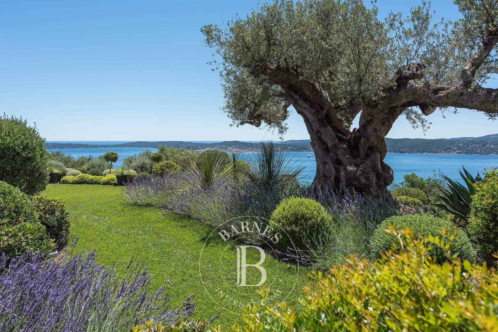 Saint-Tropez  - Propriété  - picture 10