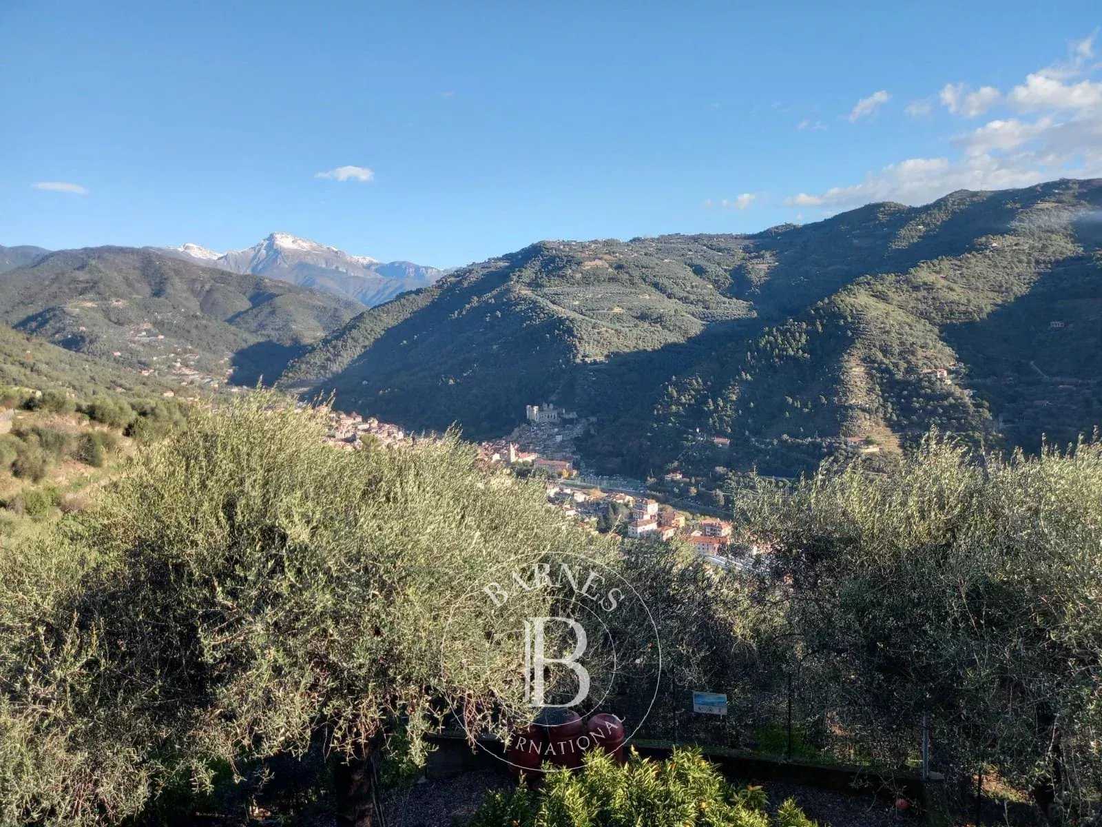 Villa Dolceacqua  -  ref 85043607 (picture 2)