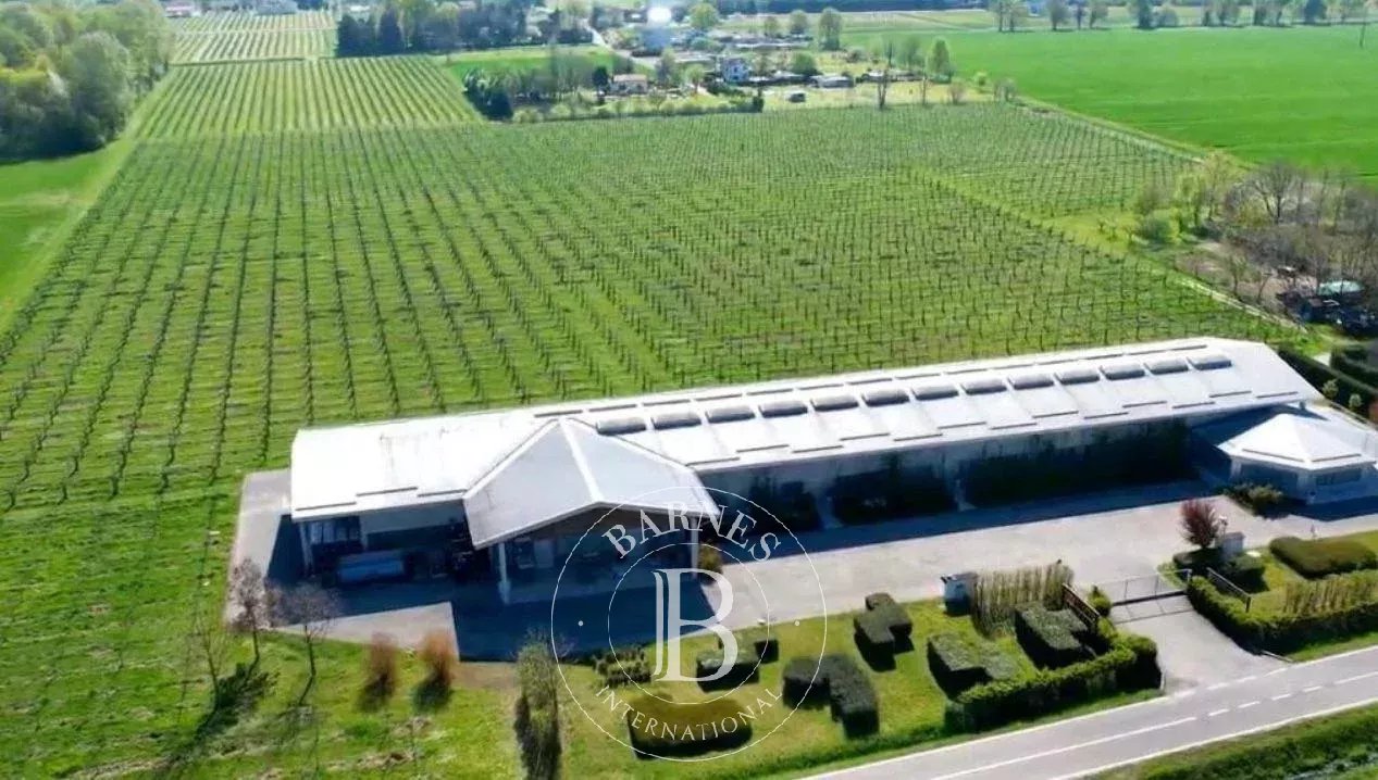 Carpi  - Manor house  - picture 19