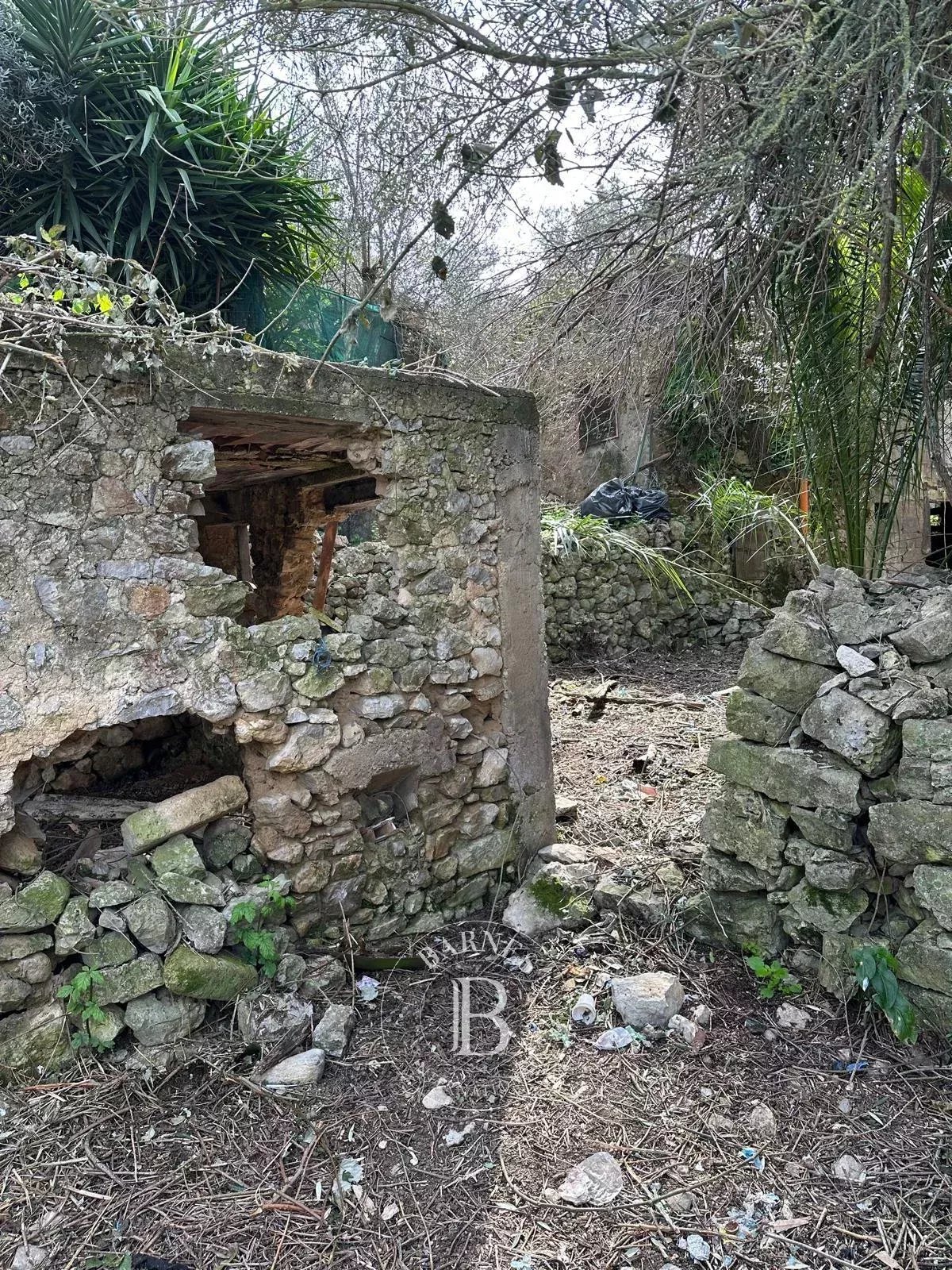 Anacapri  - Cottage  - picture 8