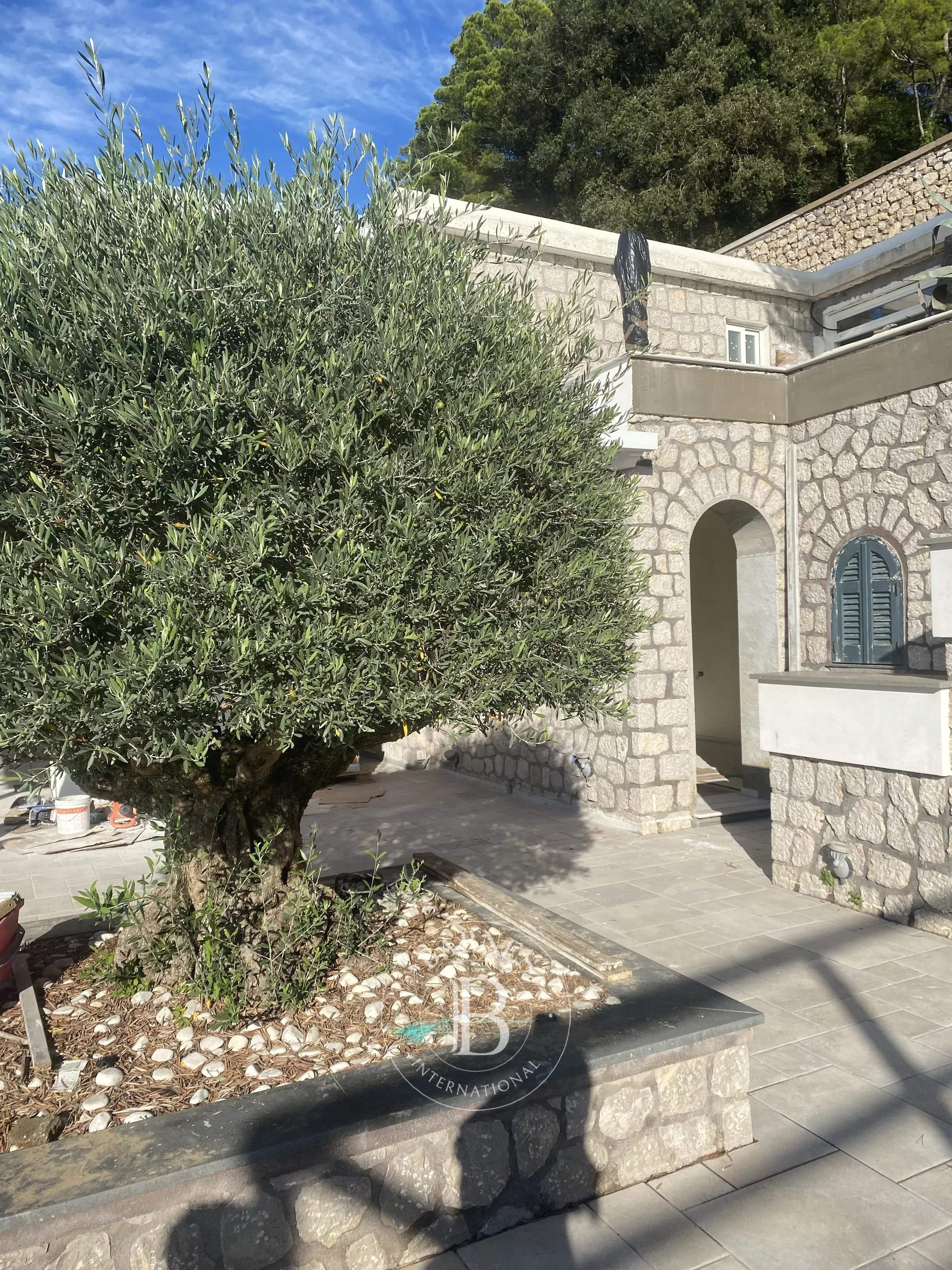 Anacapri  - Villa  - picture 5