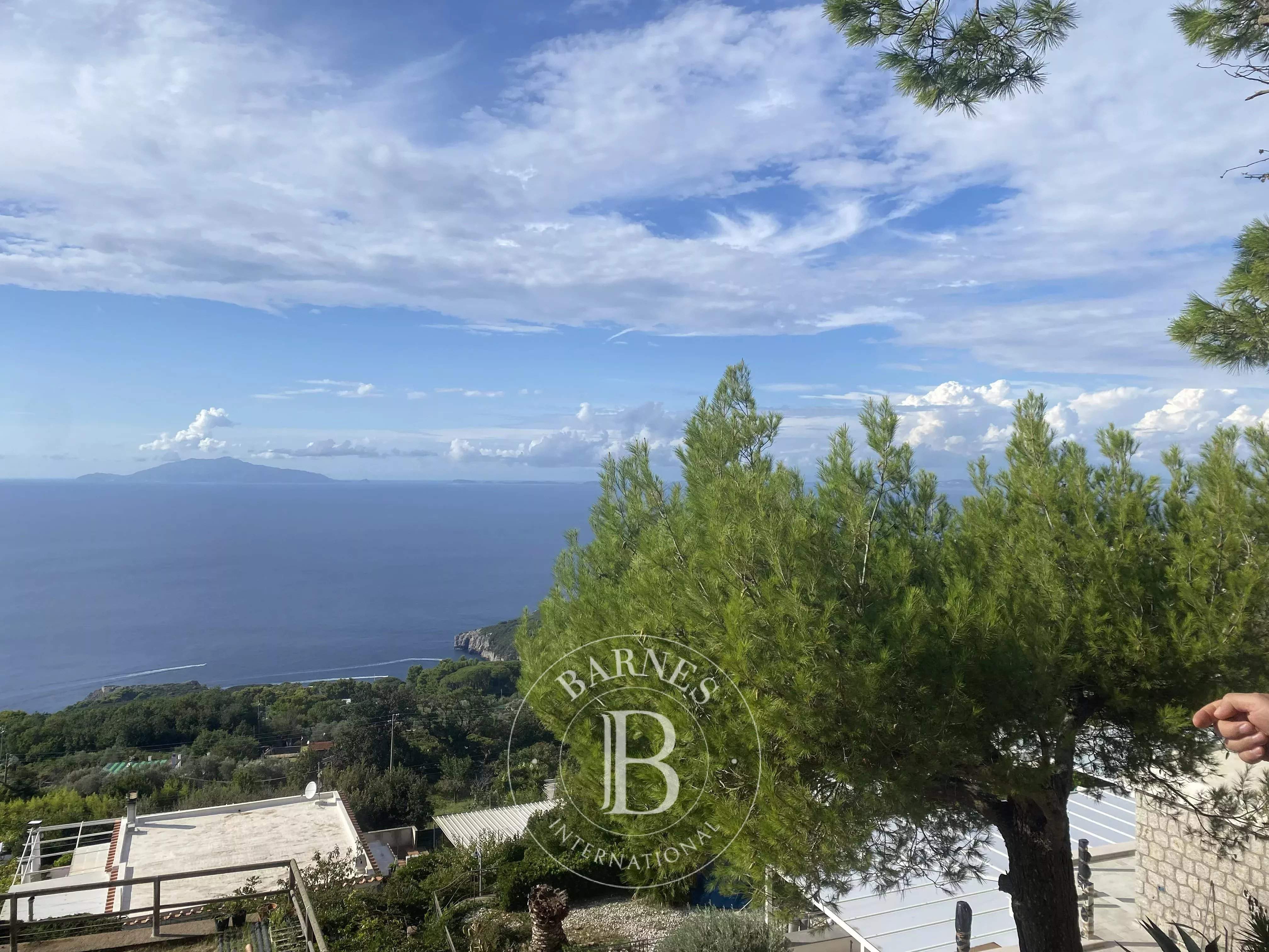 Anacapri  - Villa  - picture 16