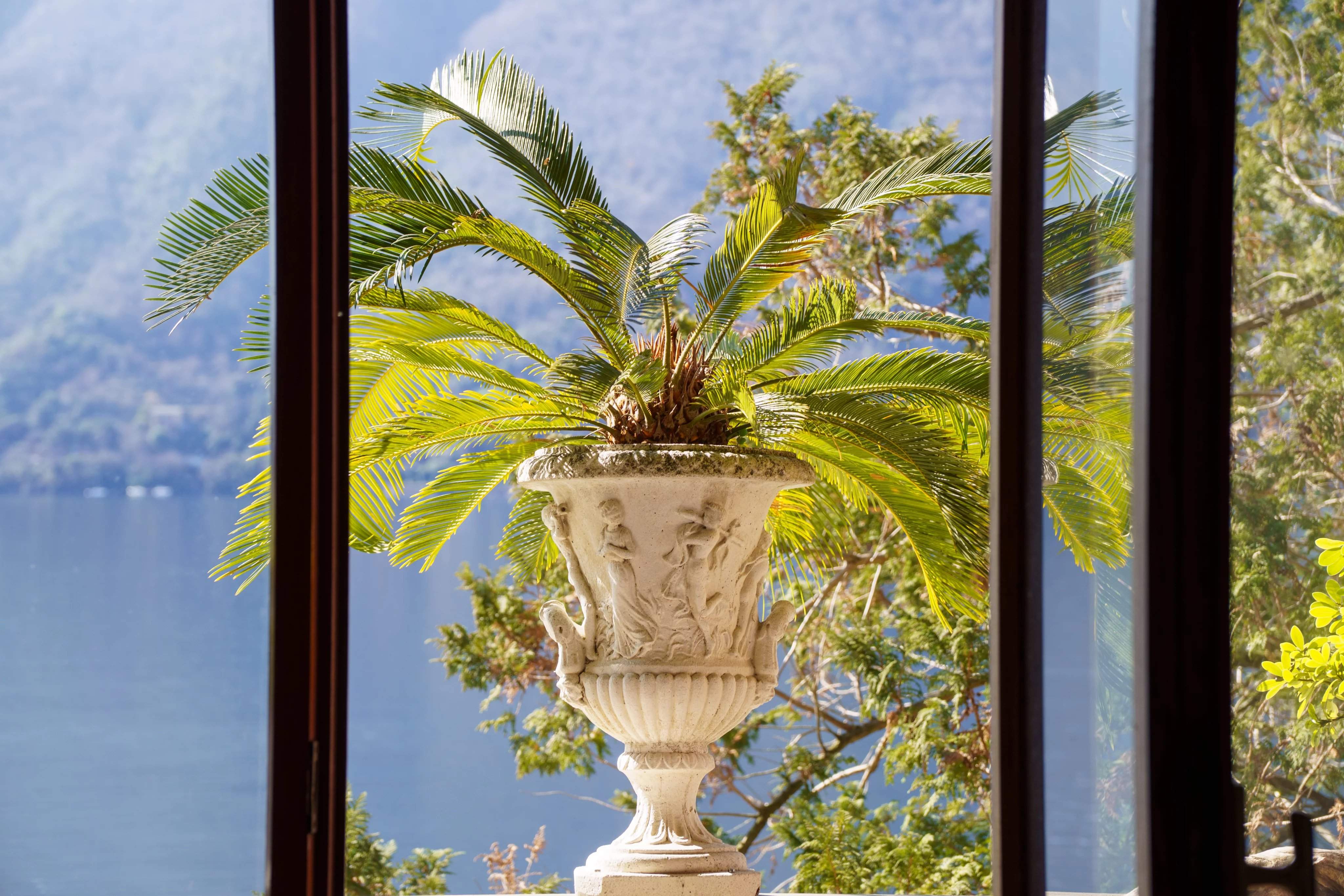 Nesso  - Apartment  - picture 16