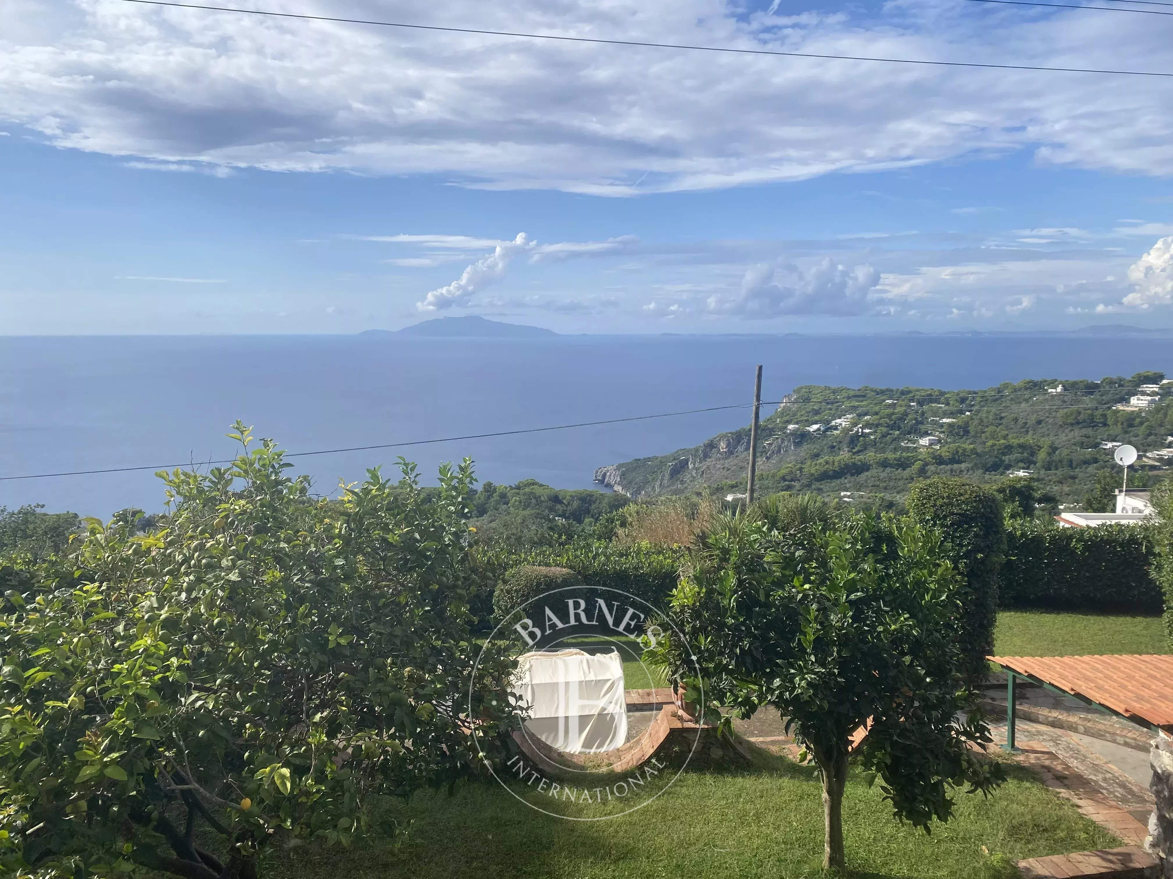 Anacapri  - Villa  - picture 18