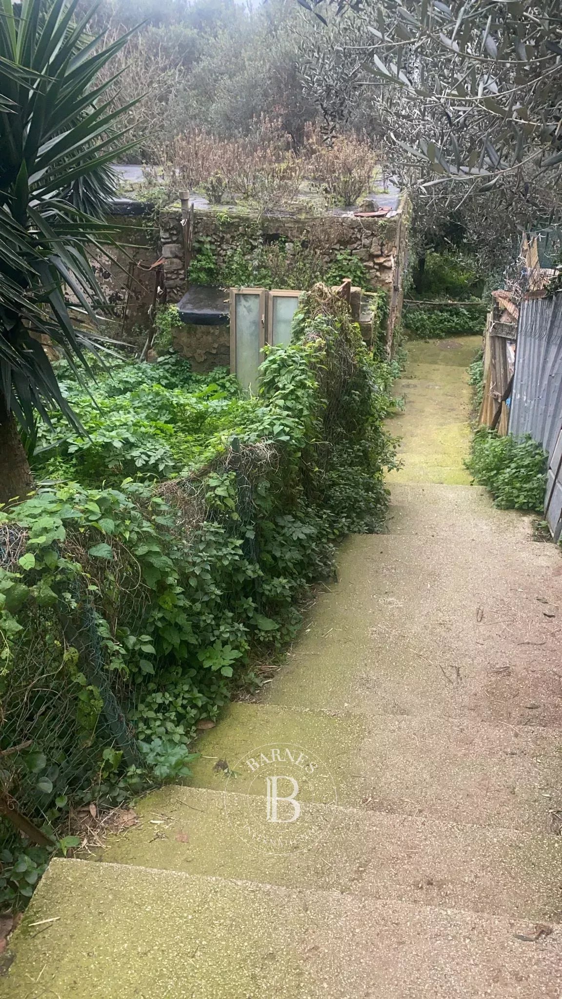 Anacapri  - Cottage  - picture 12