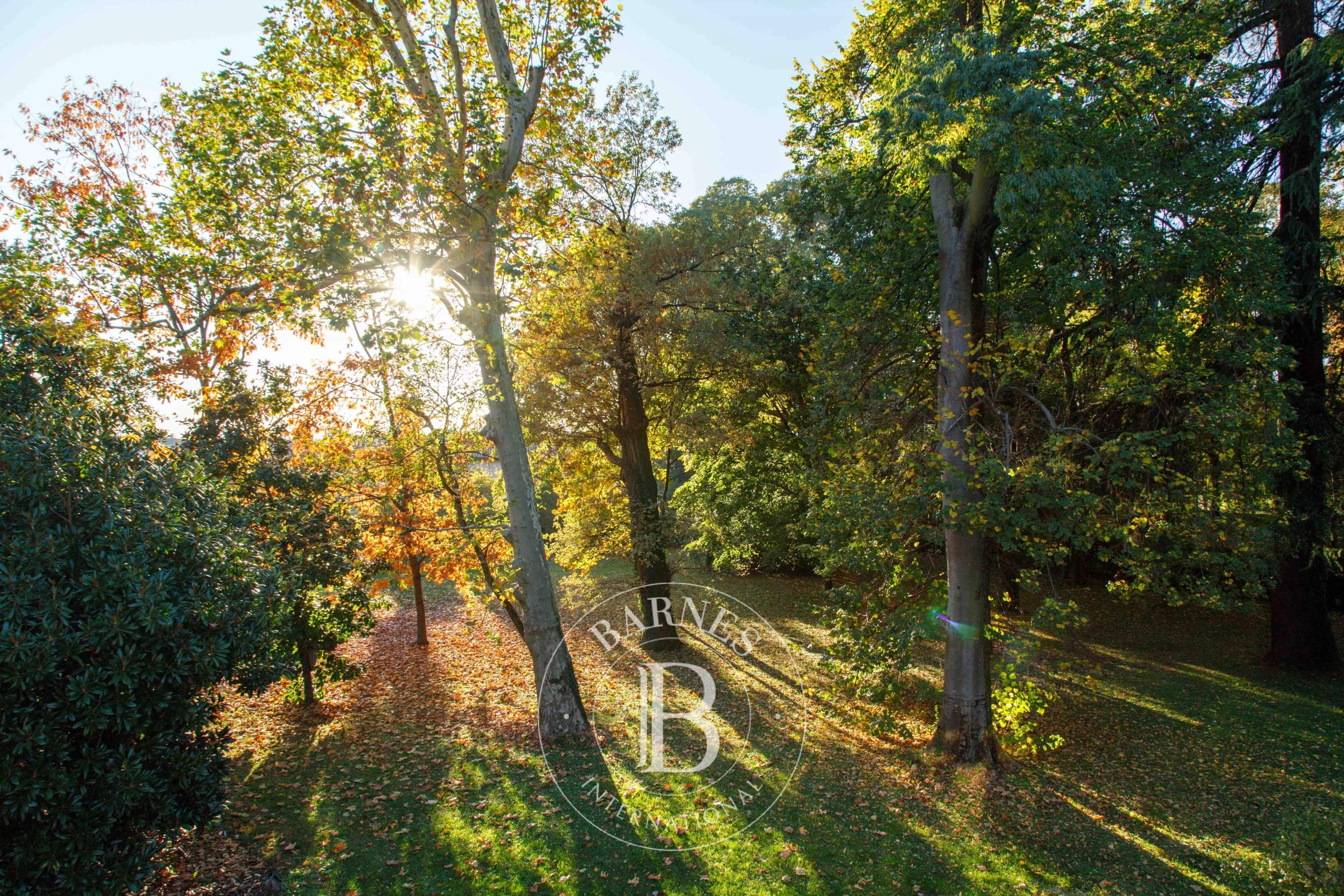 Bassano del Grappa  - Villa  - picture 19