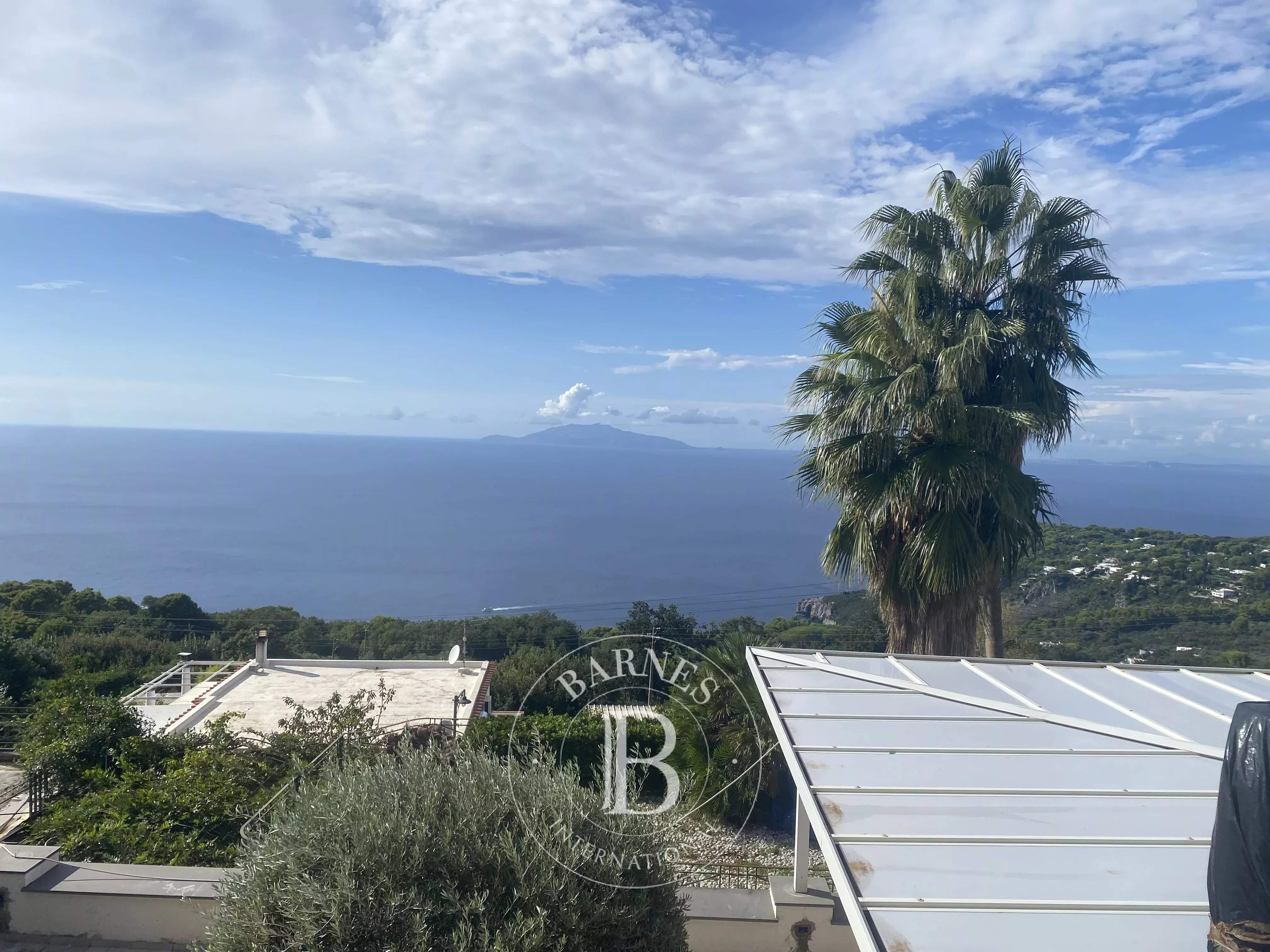Anacapri  - Villa  - picture 11