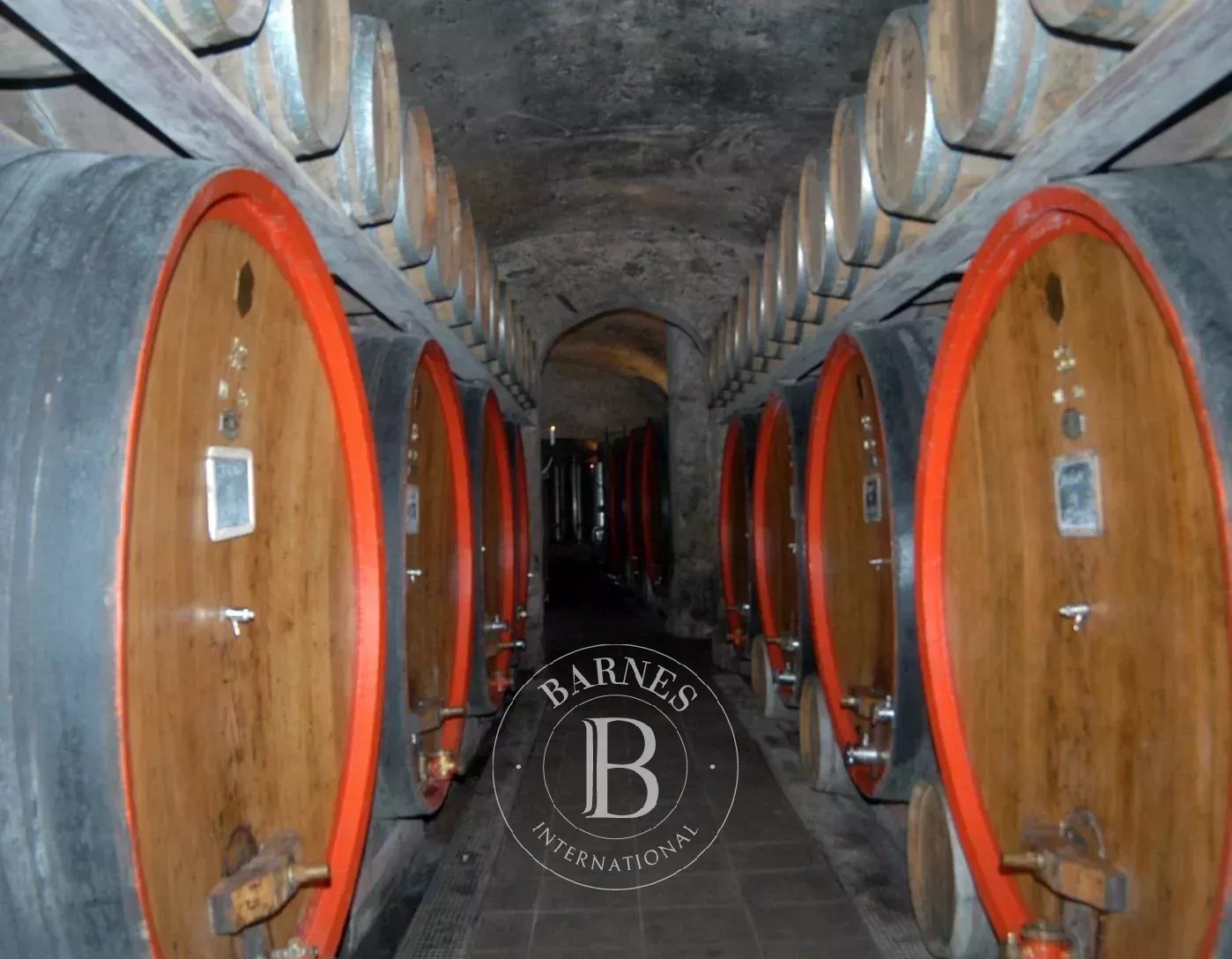 Tirano  - Property  - picture 19