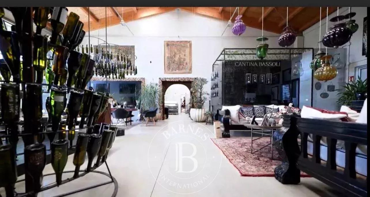 Carpi  - Manor house  - picture 17