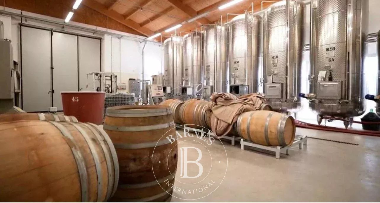 Carpi  - Manor house  - picture 18