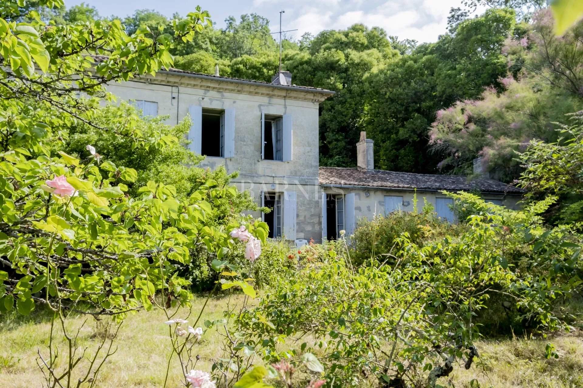 Bayon-sur-Gironde  - House  - picture 4