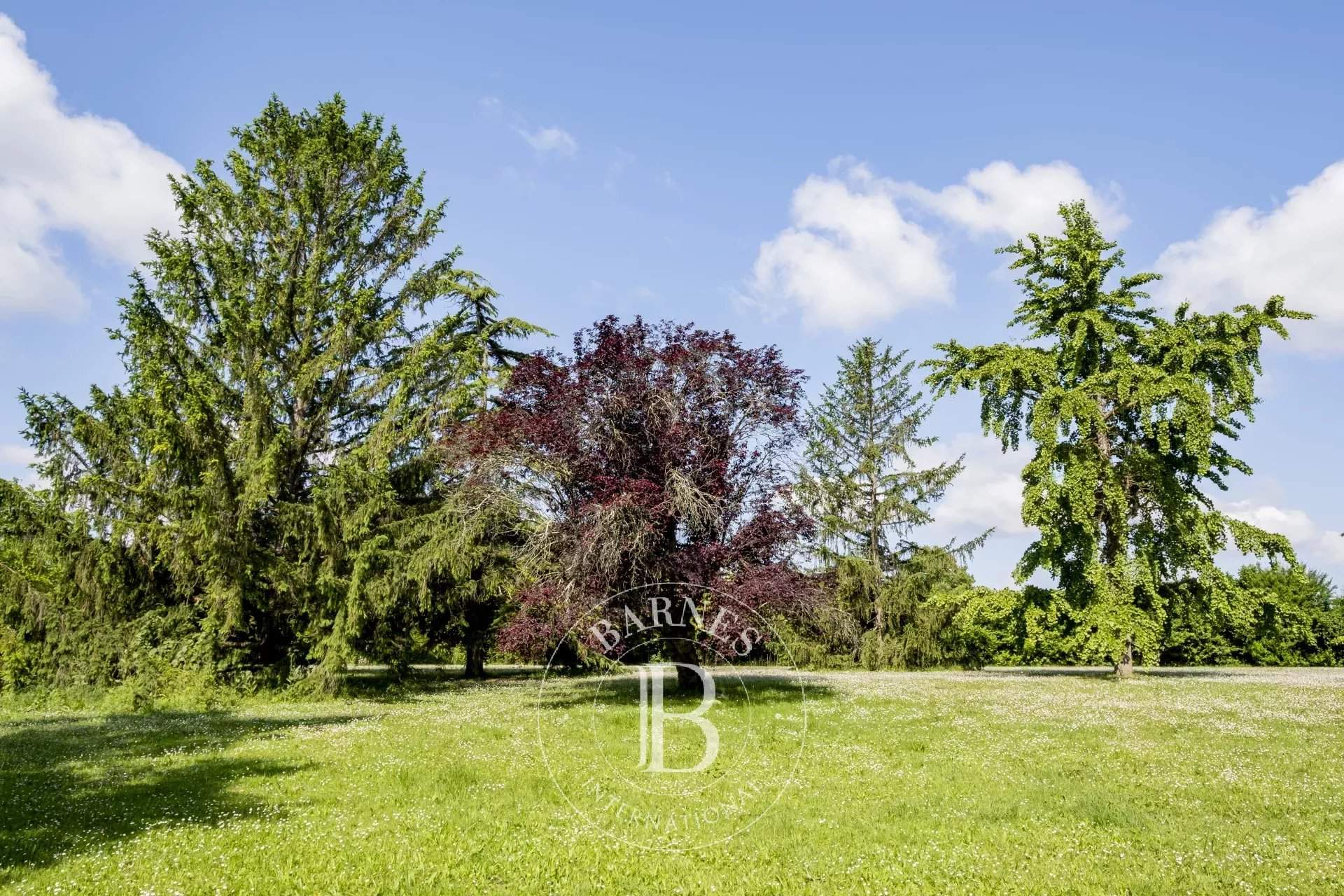 Saint-Loubès  - Property  - picture 6