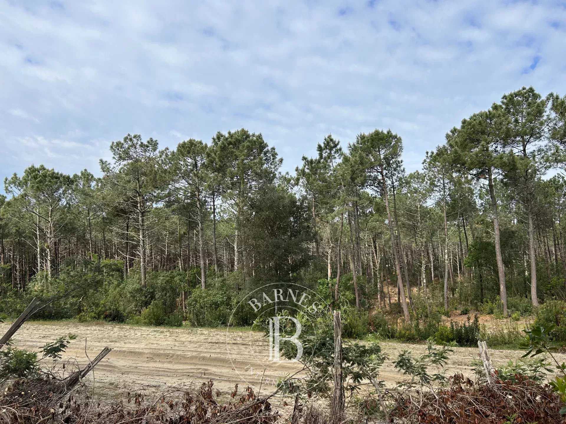 Villa Lège-Cap-Ferret  -  ref 83911886 (picture 2)