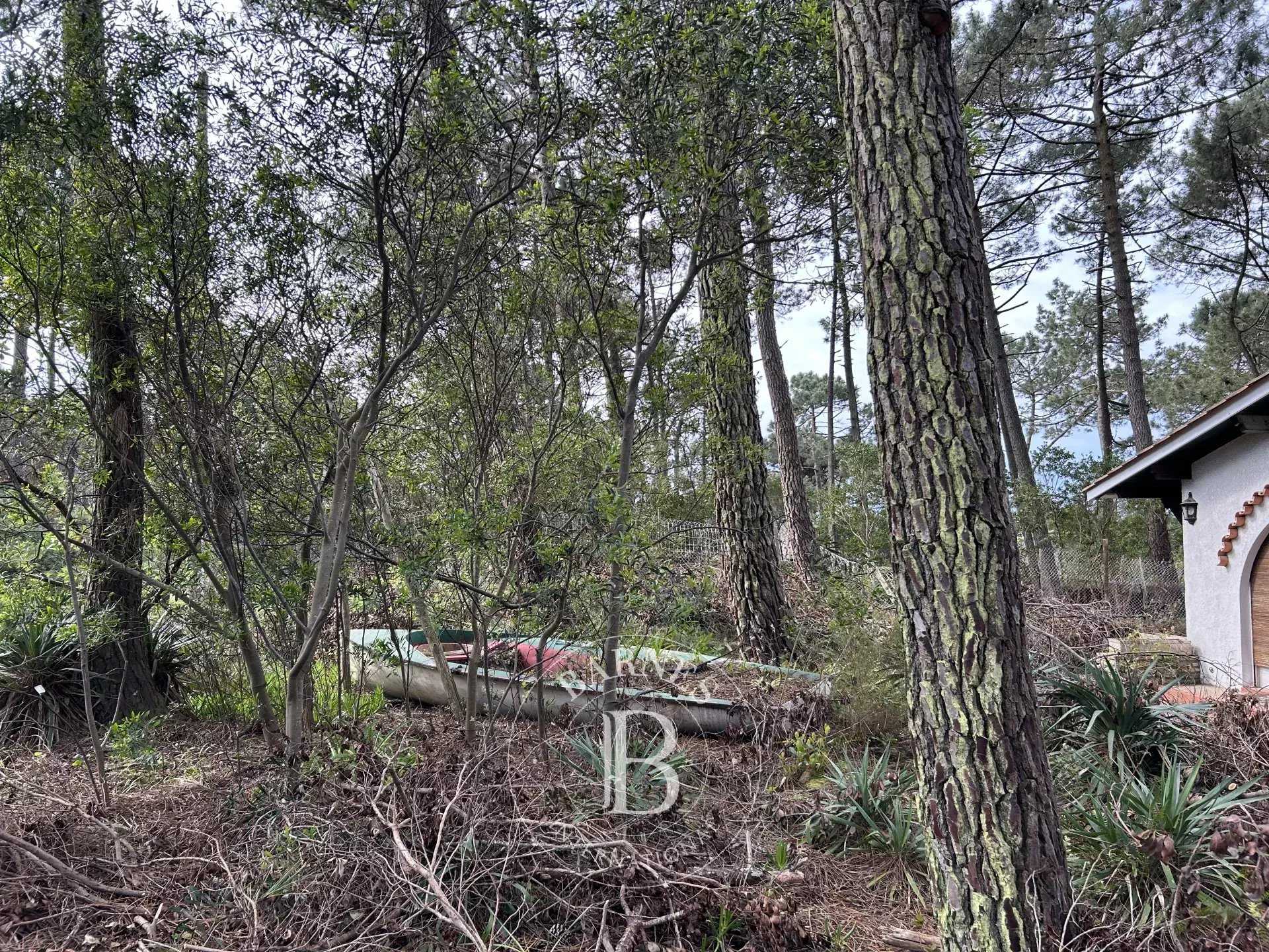 Villa Lège-Cap-Ferret  -  ref 83911886 (picture 1)