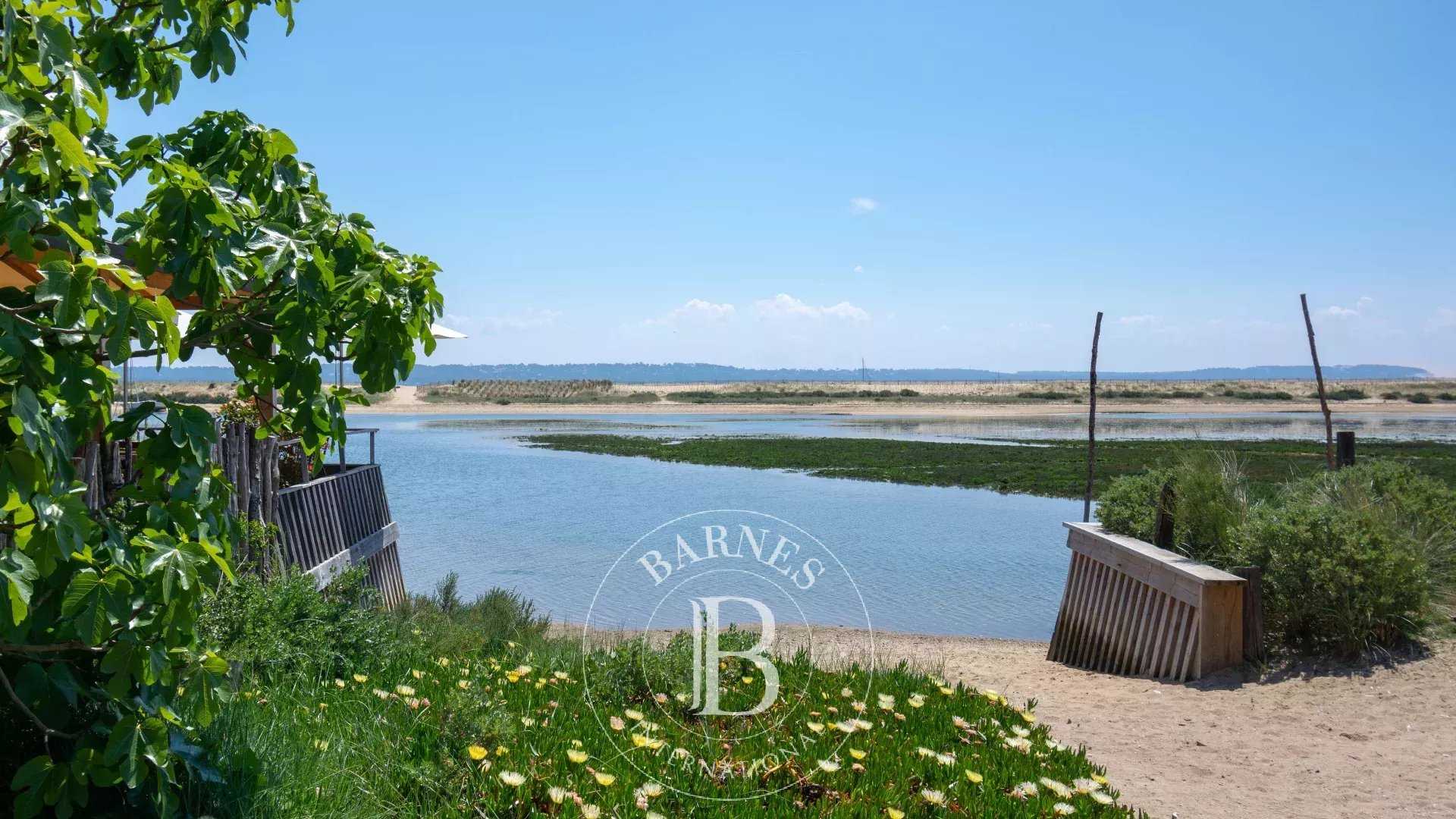 Villa Cap-Ferret  -  ref 6597238 (picture 1)