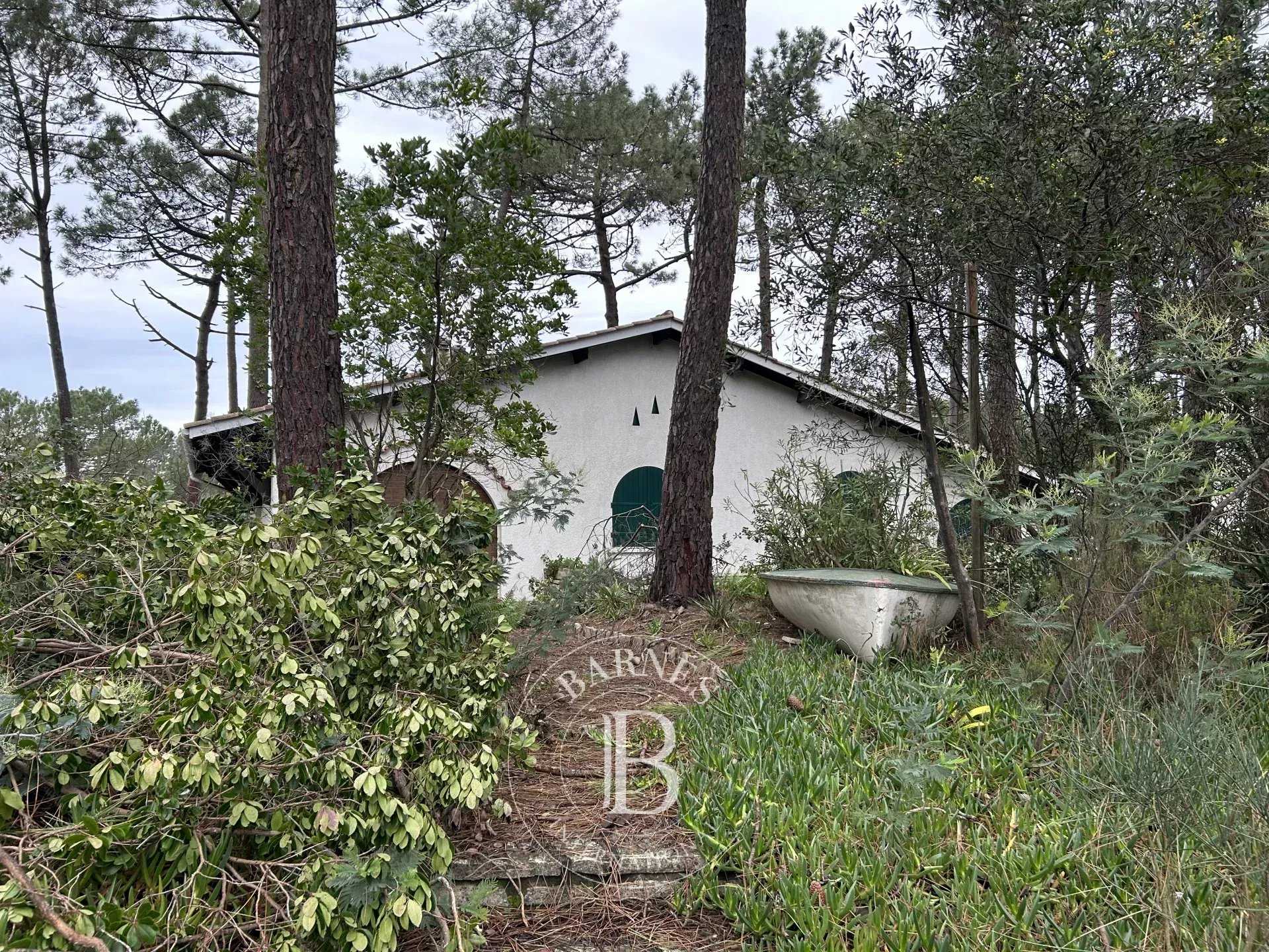 Villa Lège-Cap-Ferret  -  ref 83911886 (picture 3)