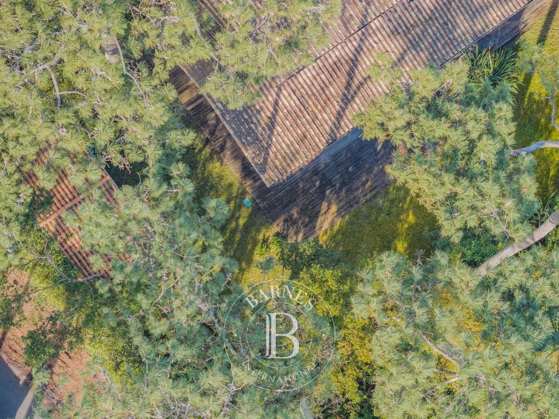 Villa Lège-Cap-Ferret  -  ref 86485313 (picture 1)