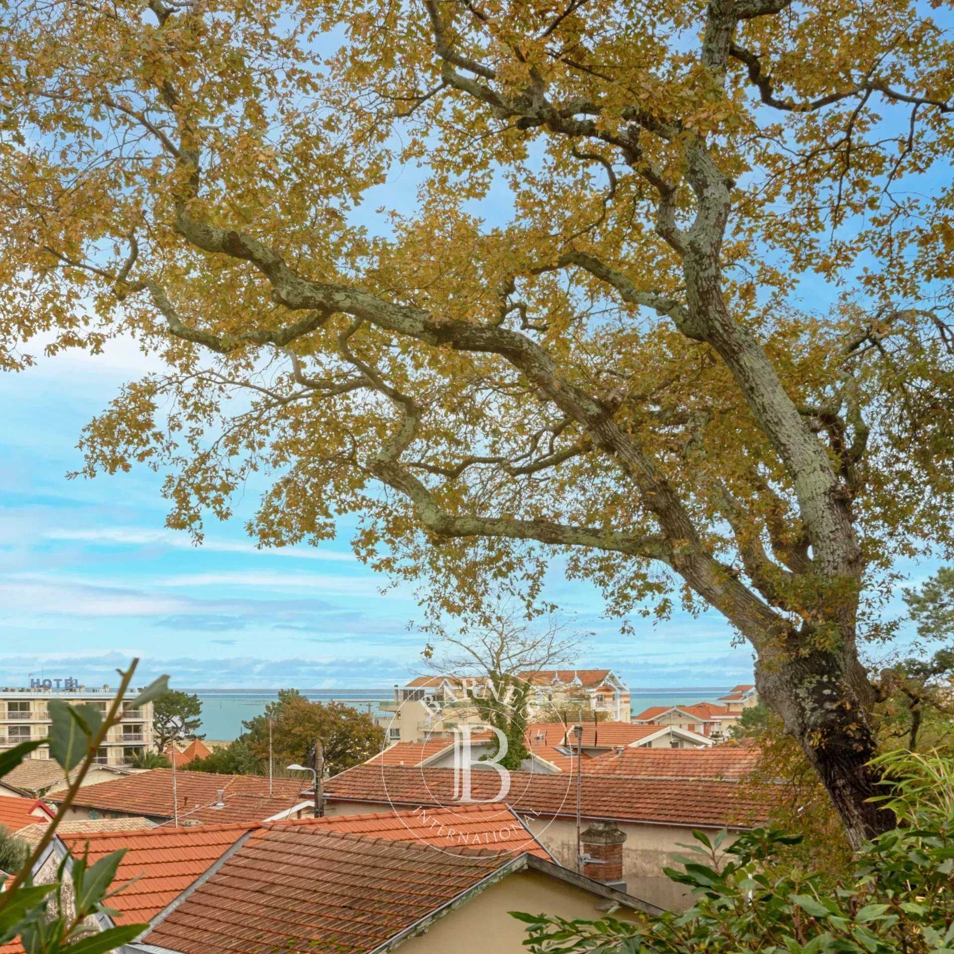 Appartement Arcachon  -  ref 7714365 (picture 2)