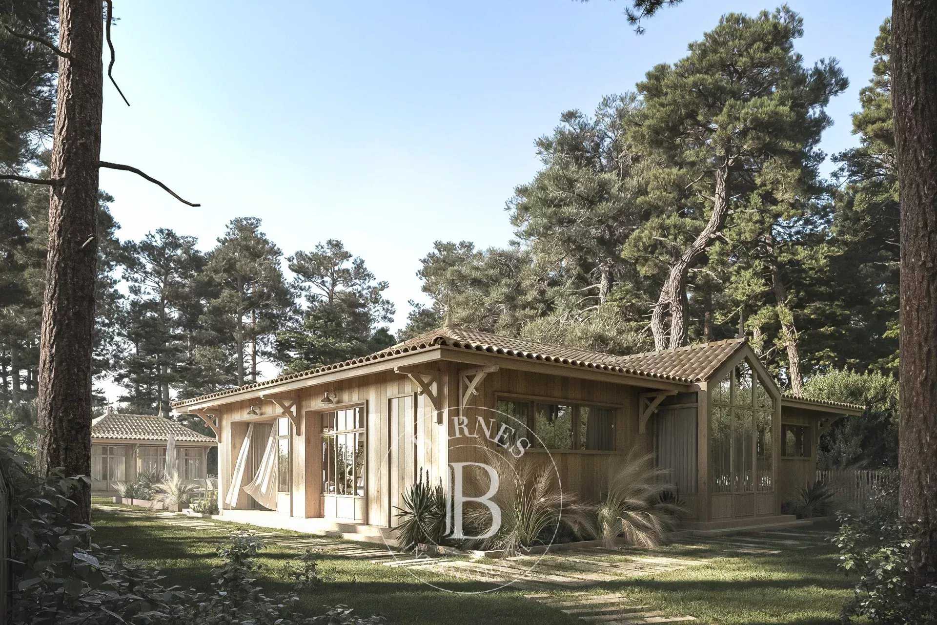 Villa Cap-Ferret  -  ref 85768400 (picture 1)