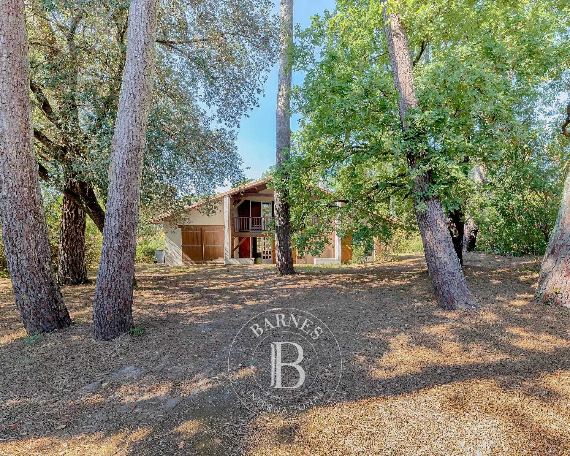 Villa Arcachon  -  ref 7329703 (picture 3)