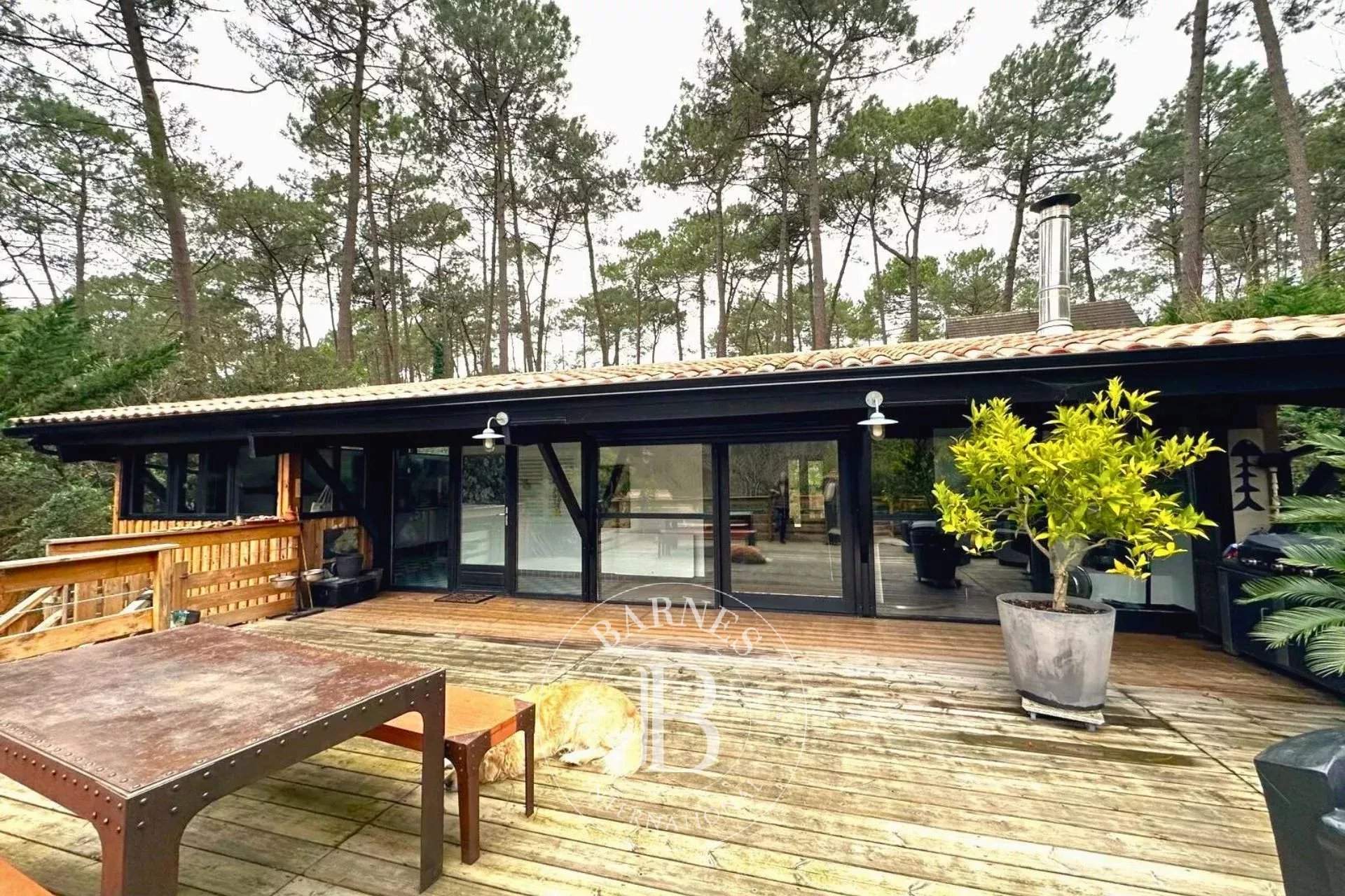 Lacanau  - Villa 4 Bedrooms - picture 4