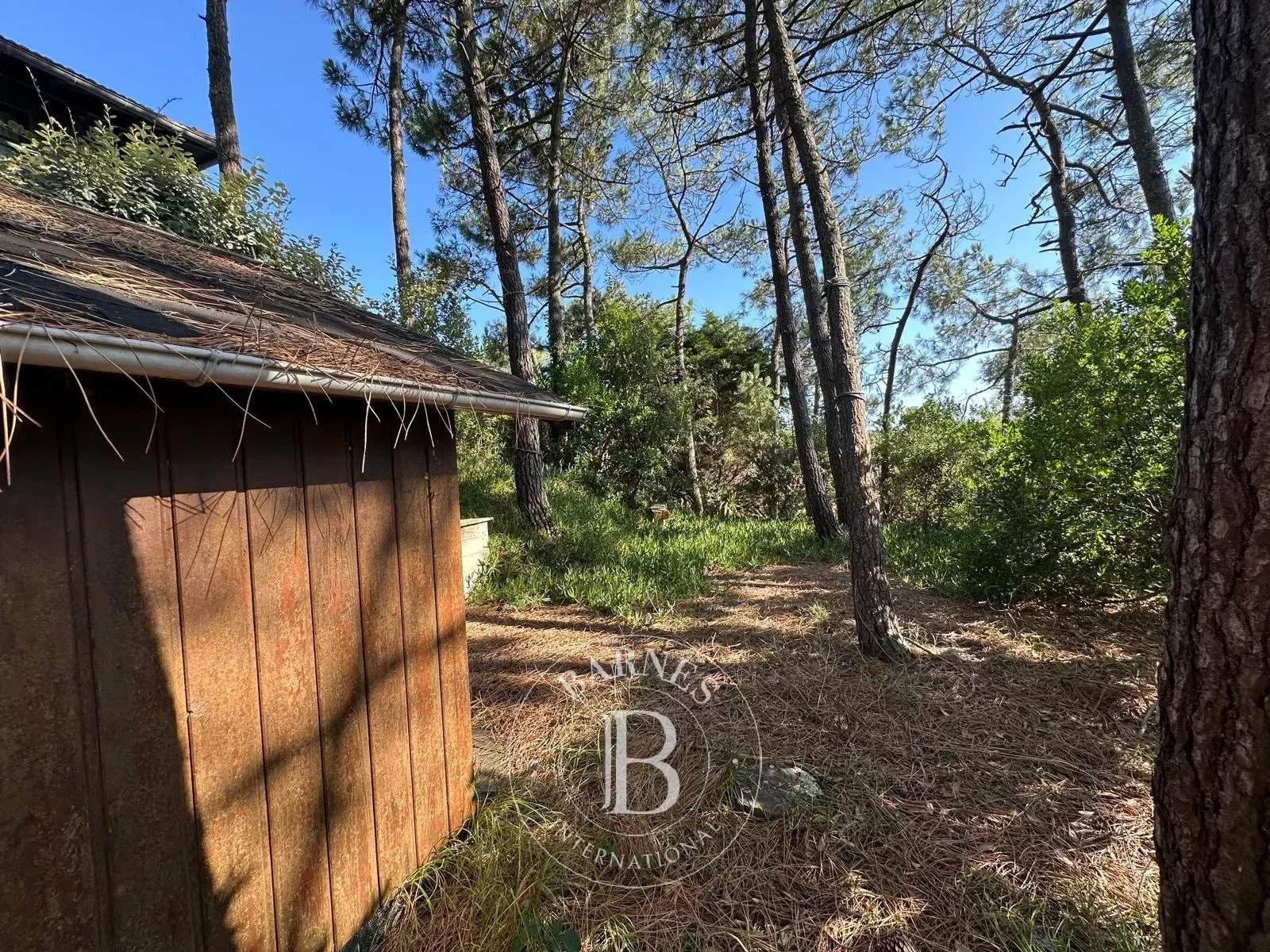 Lège-Cap-Ferret  - Villa 1 Bedroom - picture 4