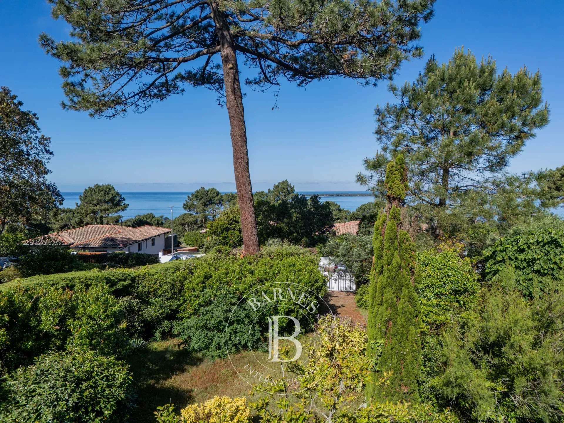 Pyla-sur-Mer  - Terrain  - picture 6