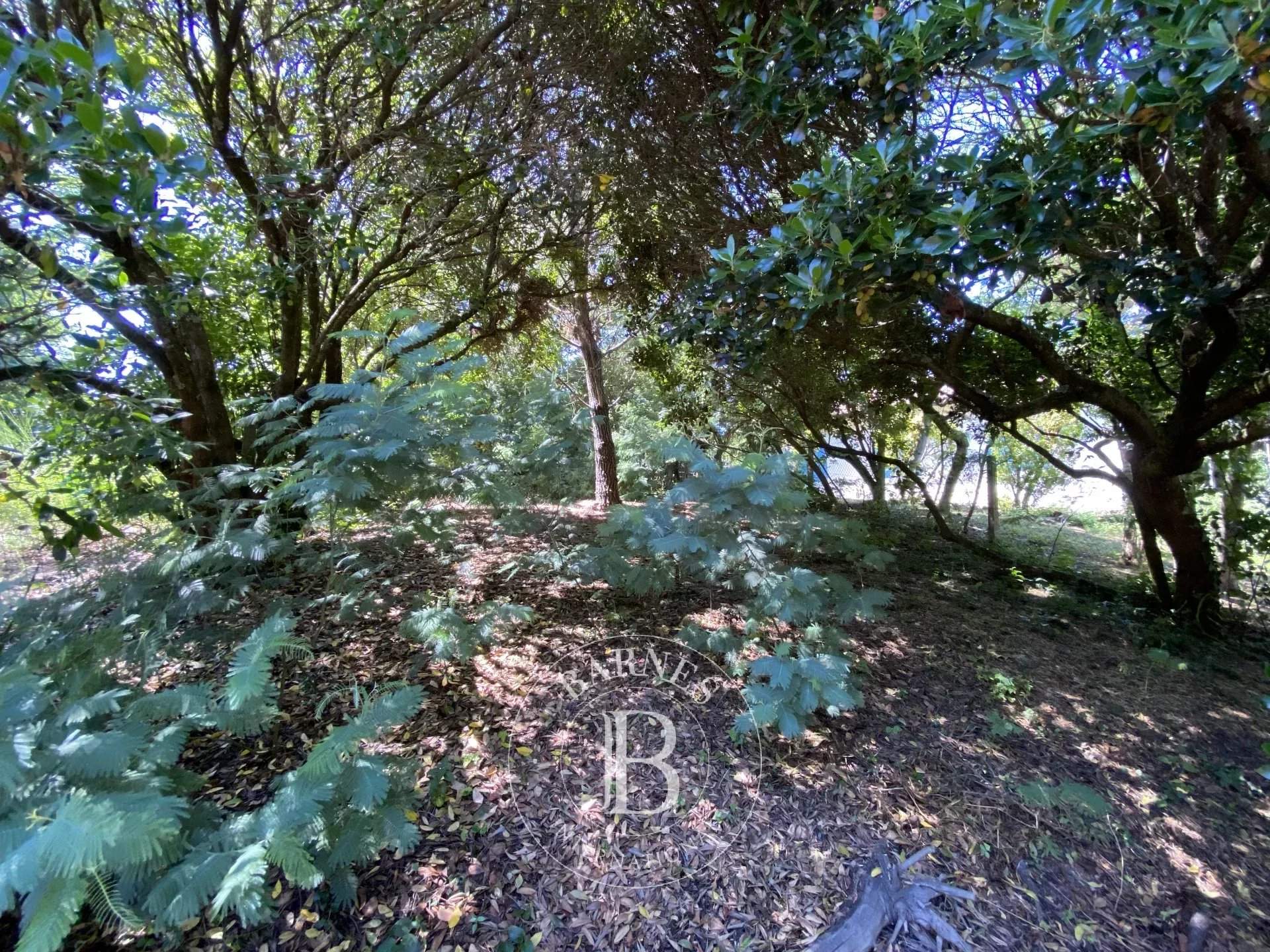 Cap-Ferret  - Maison 4 Pi&egrave;ces - picture 7