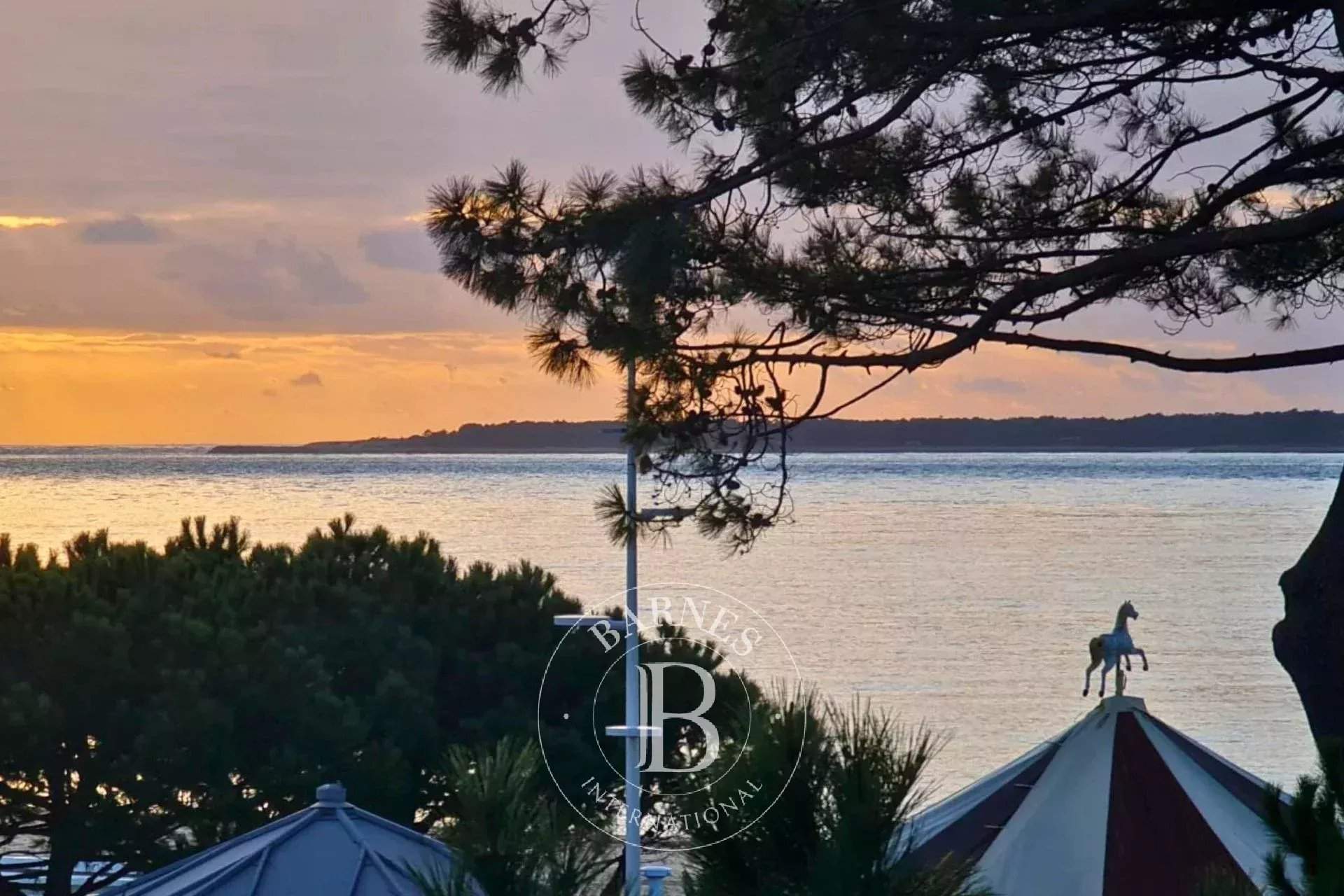 Arcachon  - Appartement 1 Pi&egrave;ce - picture 4