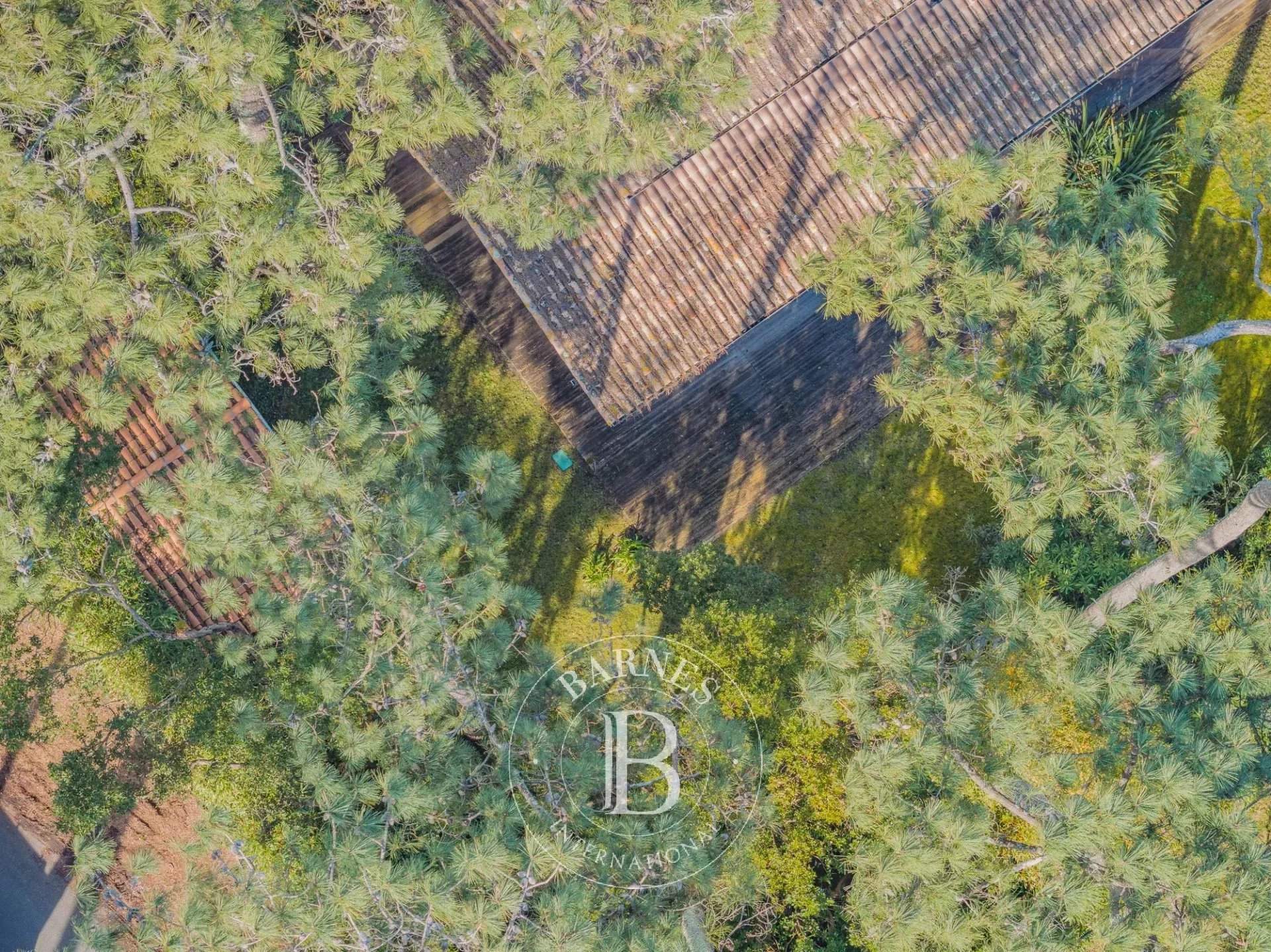 Lège-Cap-Ferret  - Villa  - picture 1