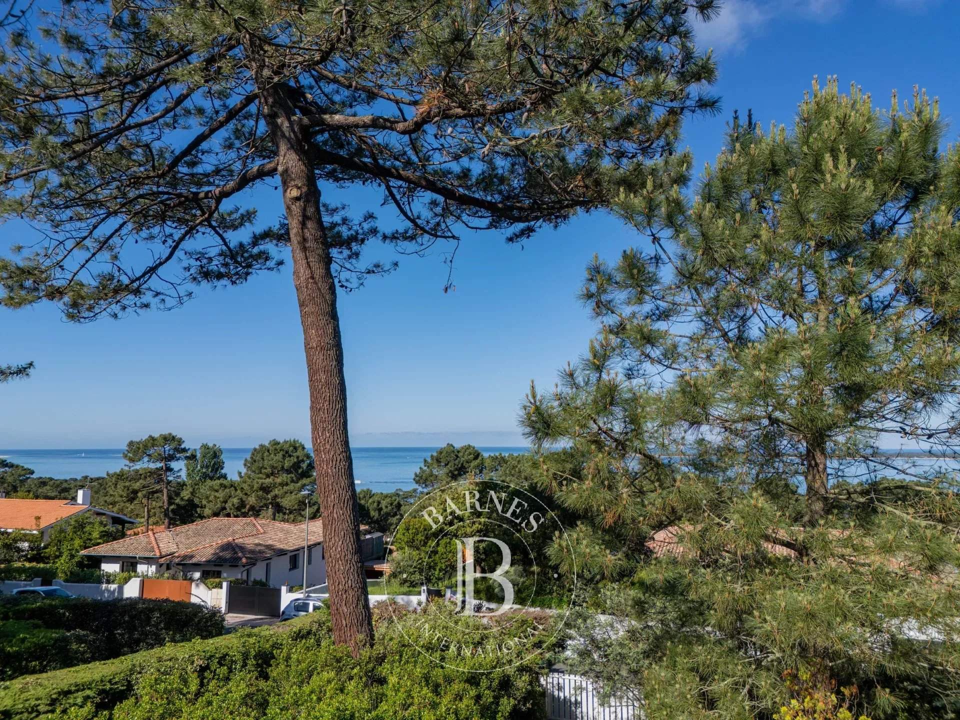Pyla-sur-Mer  - Terrain  - picture 7