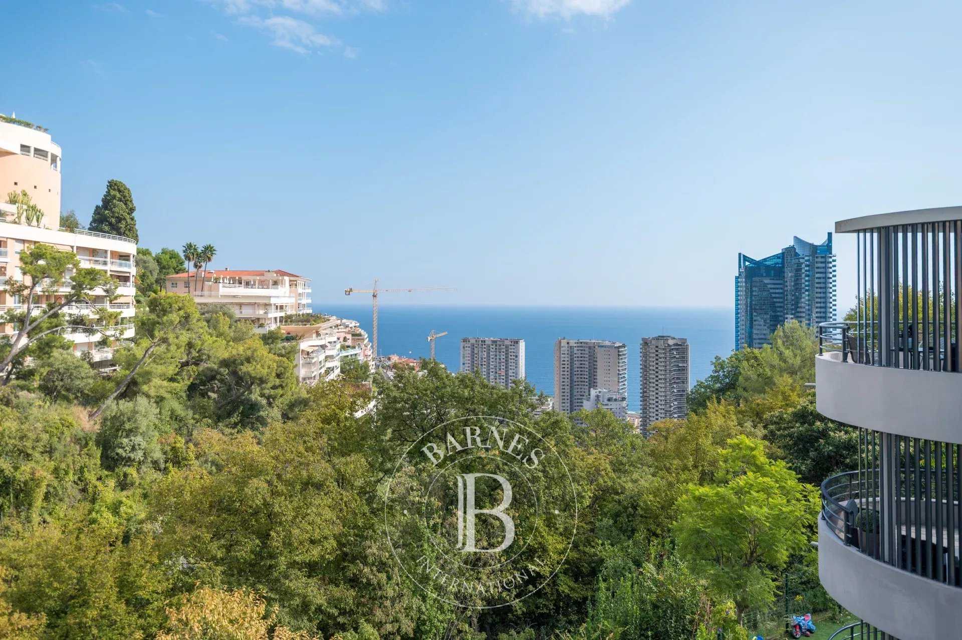 Beausoleil  - Appartement 2 Pièces, 1 Chambre