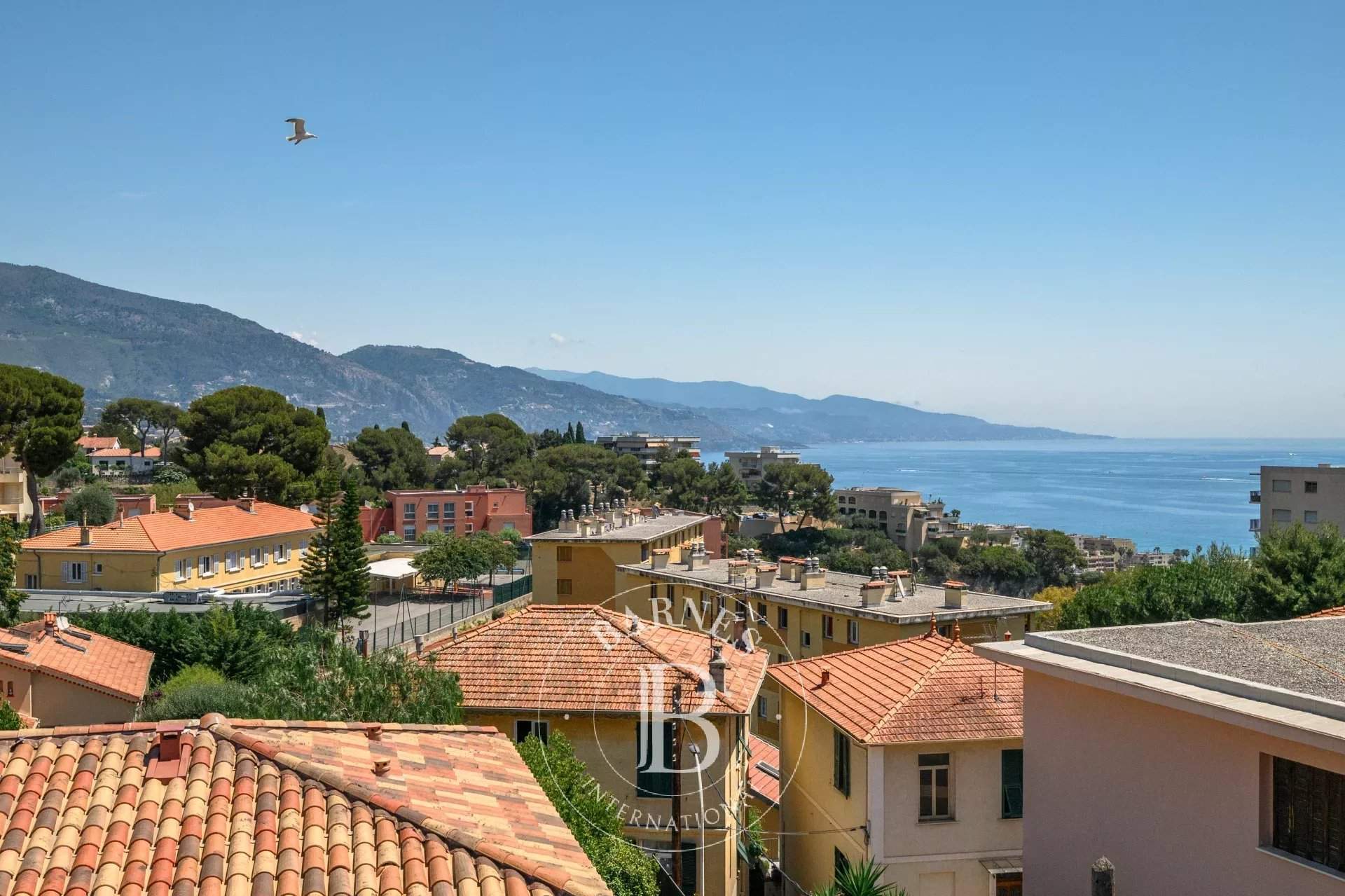 Roquebrune-Cap-Martin  - Villa 7 Pi&egrave;ces - picture 1