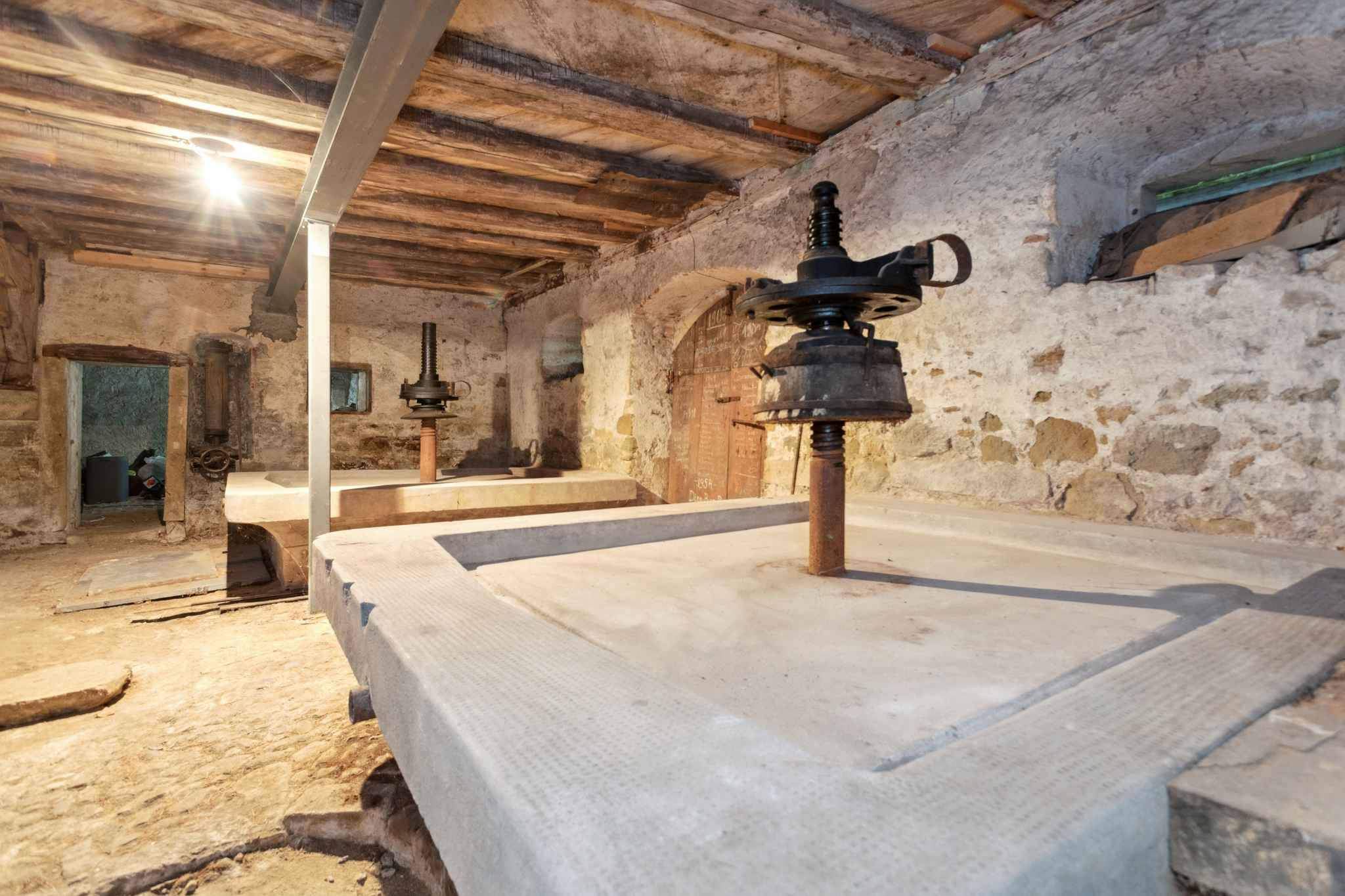 Vallamand  - Castle 7 Bedrooms - picture 11