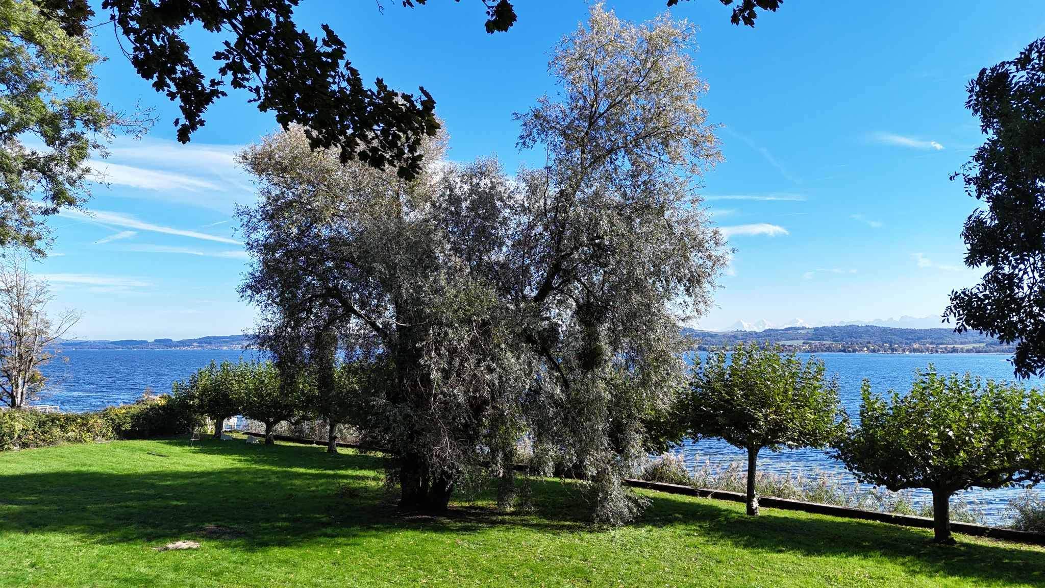 Vallamand  - Castle 7 Bedrooms - picture 13