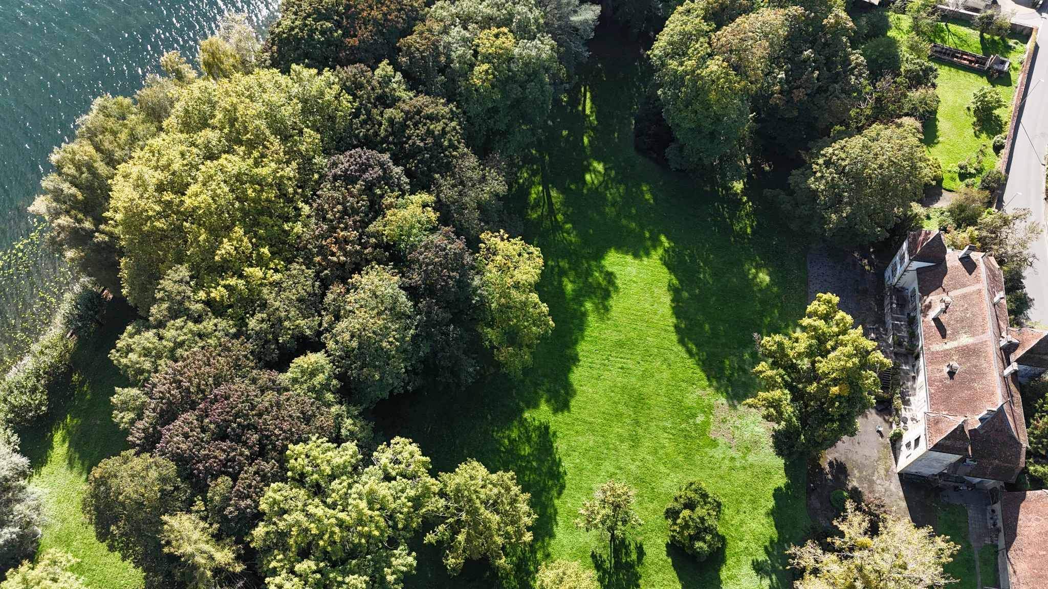 Vallamand  - Castle 7 Bedrooms - picture 12