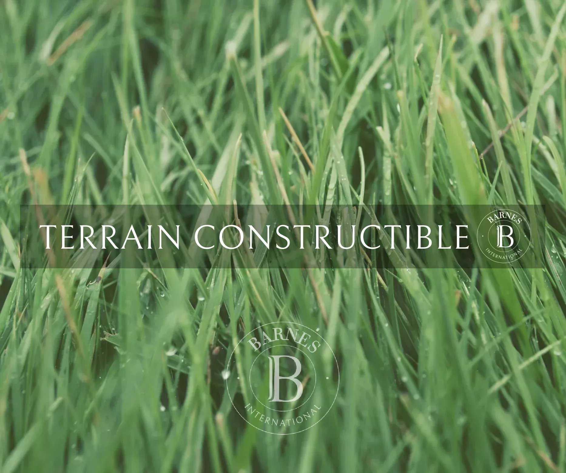 Building land Pessac