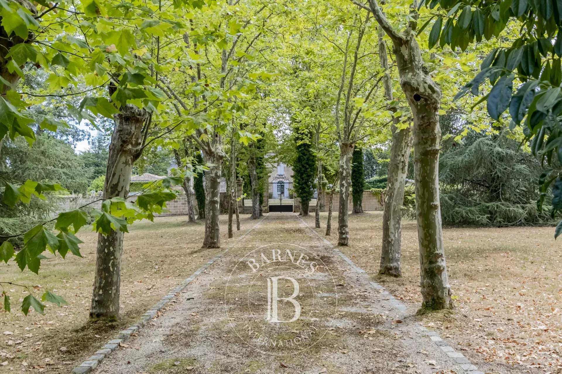 Château Léognan  -  ref 7291351 (picture 3)