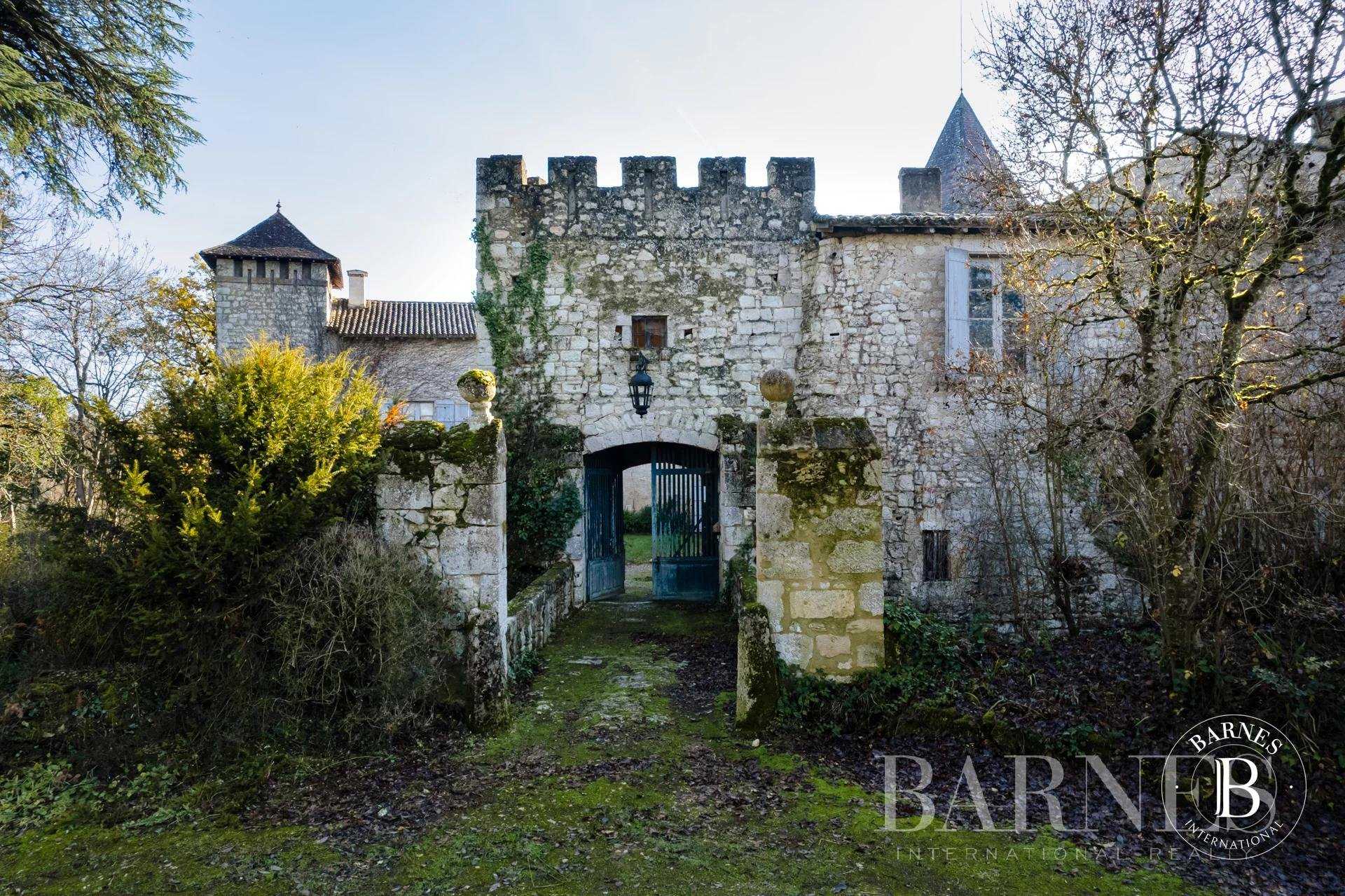 Lectoure  - Château 25 Pièces 9 Chambres