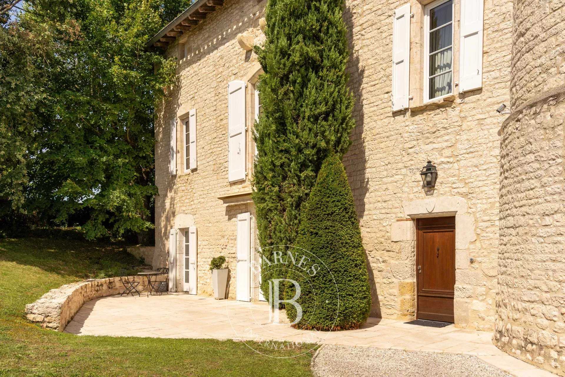 Albi  - Castle 7 Bedrooms