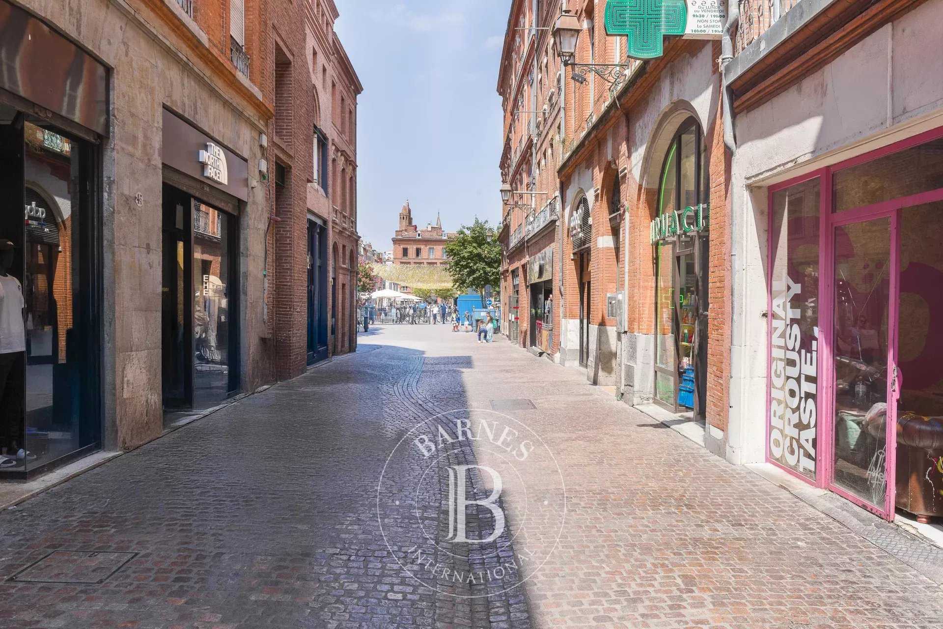Toulouse  - Appartement 2 Pi&egrave;ces, 1 Chambre
